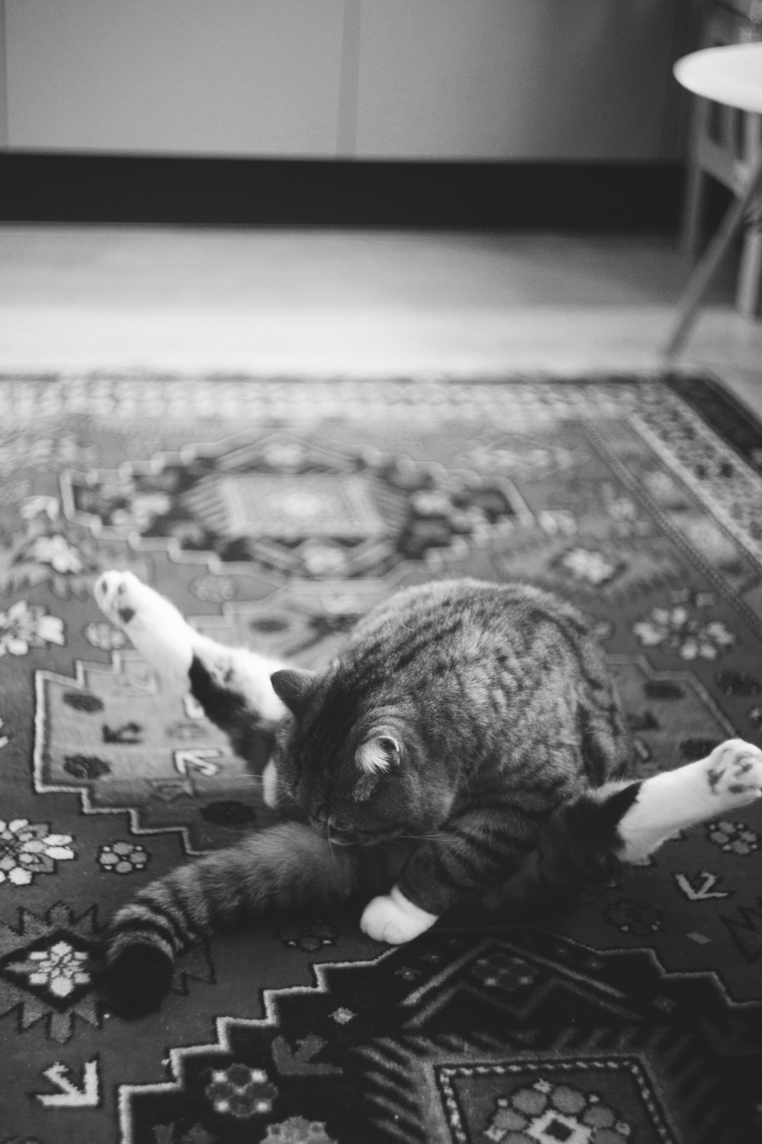 Практикум «Снимай без правил». Фотограф Анастасия Мукоид