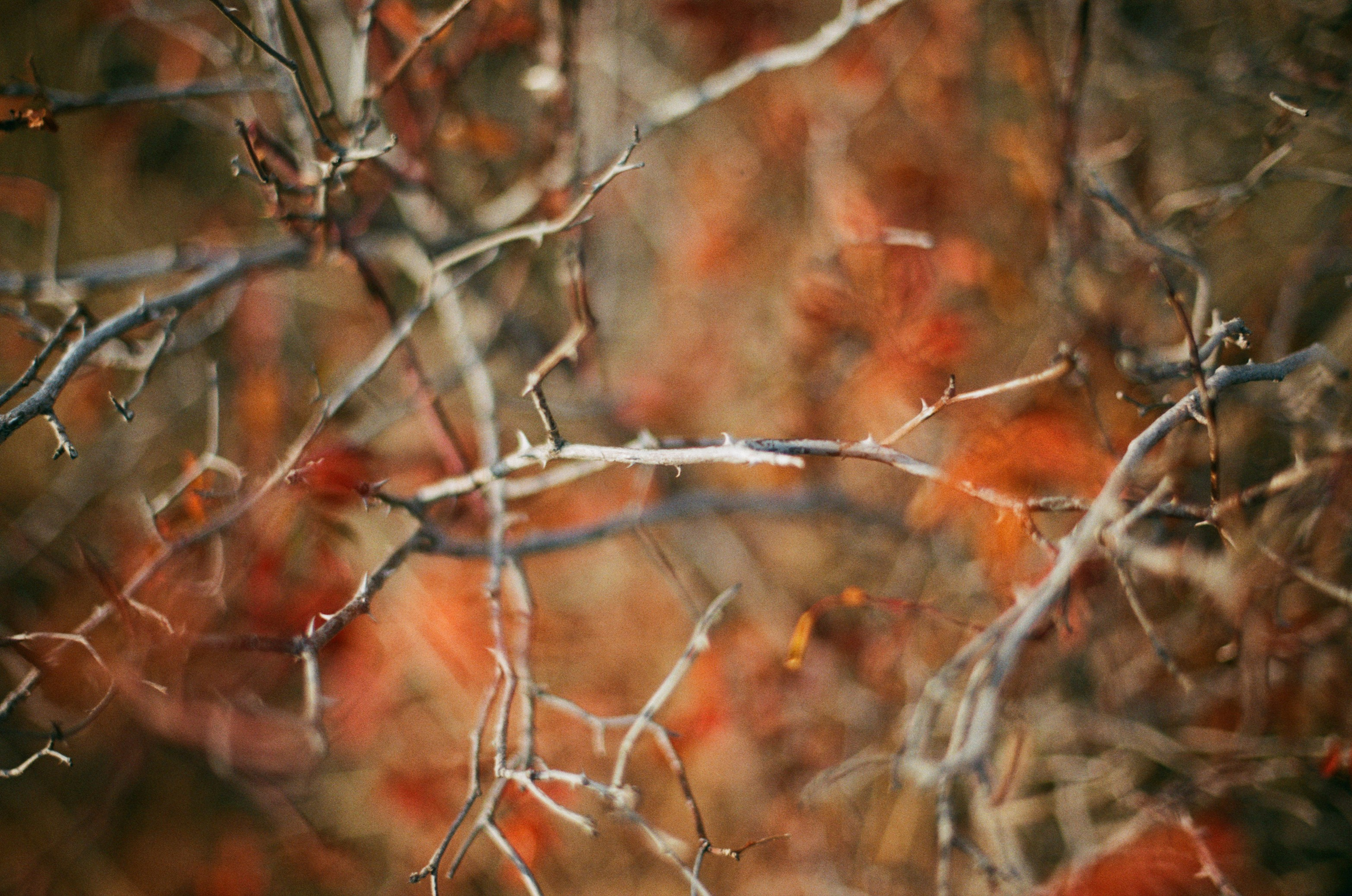 Wherever you will go // ukraine, crimea. EVER EXPOSED