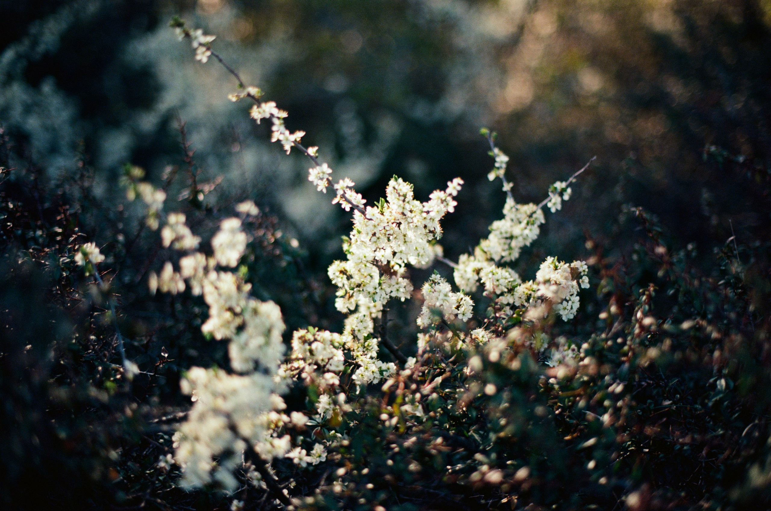 Follow you // ukraine, crimea II. EVER EXPOSED