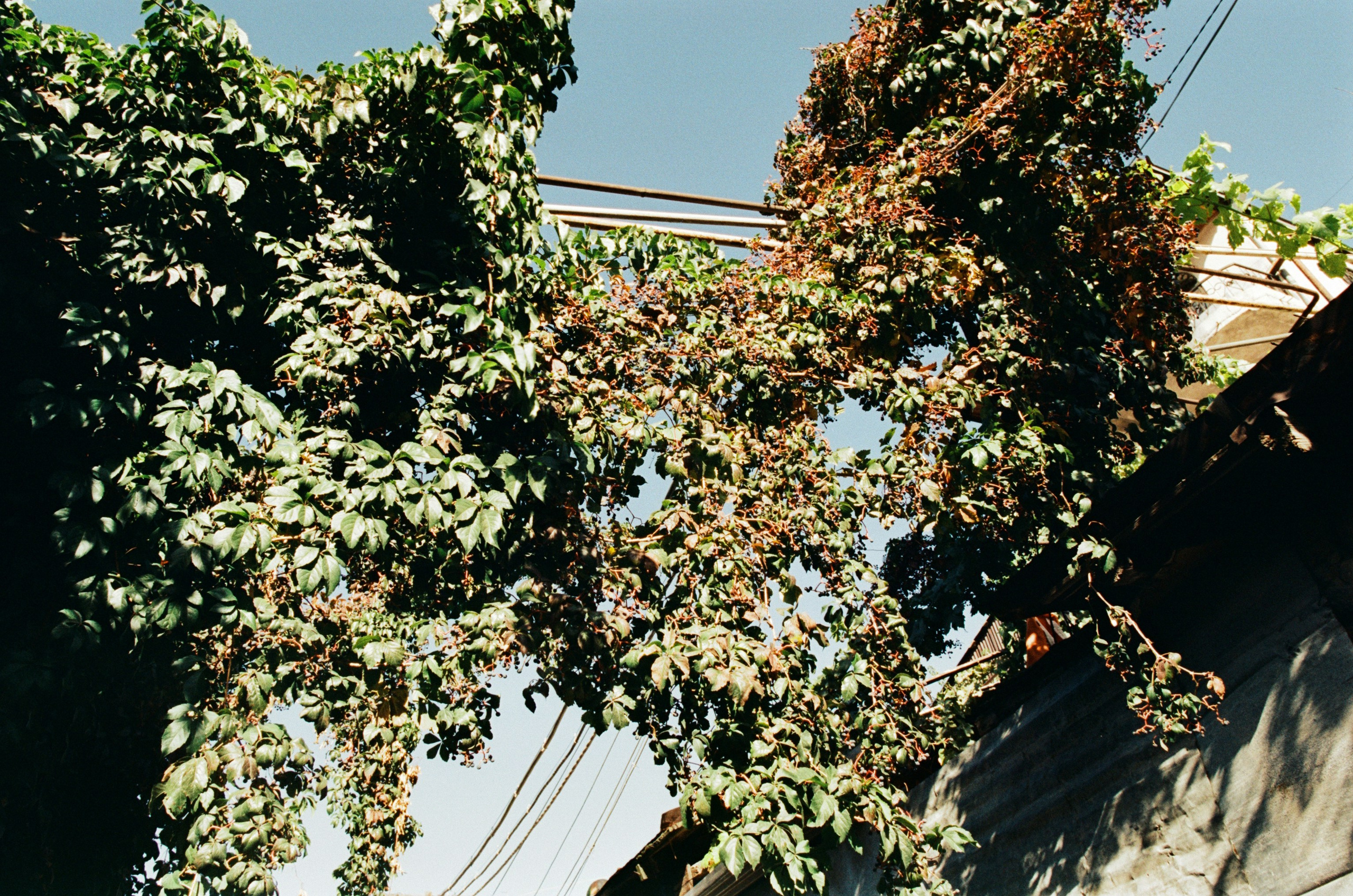 Darkest lullaby // armenia, yerevan II. EVER EXPOSED