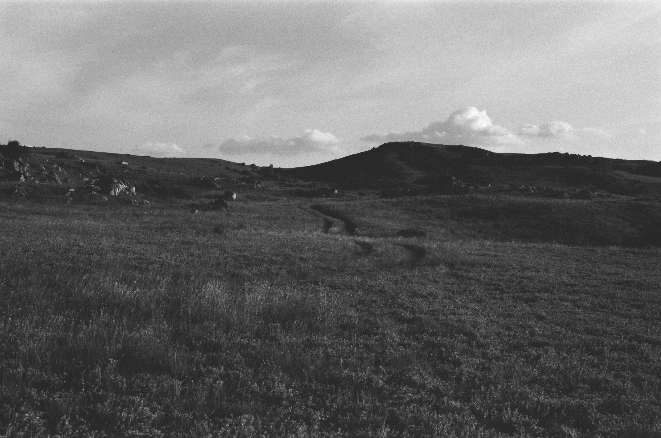 Move me // ukraine, crimea III. EVER EXPOSED