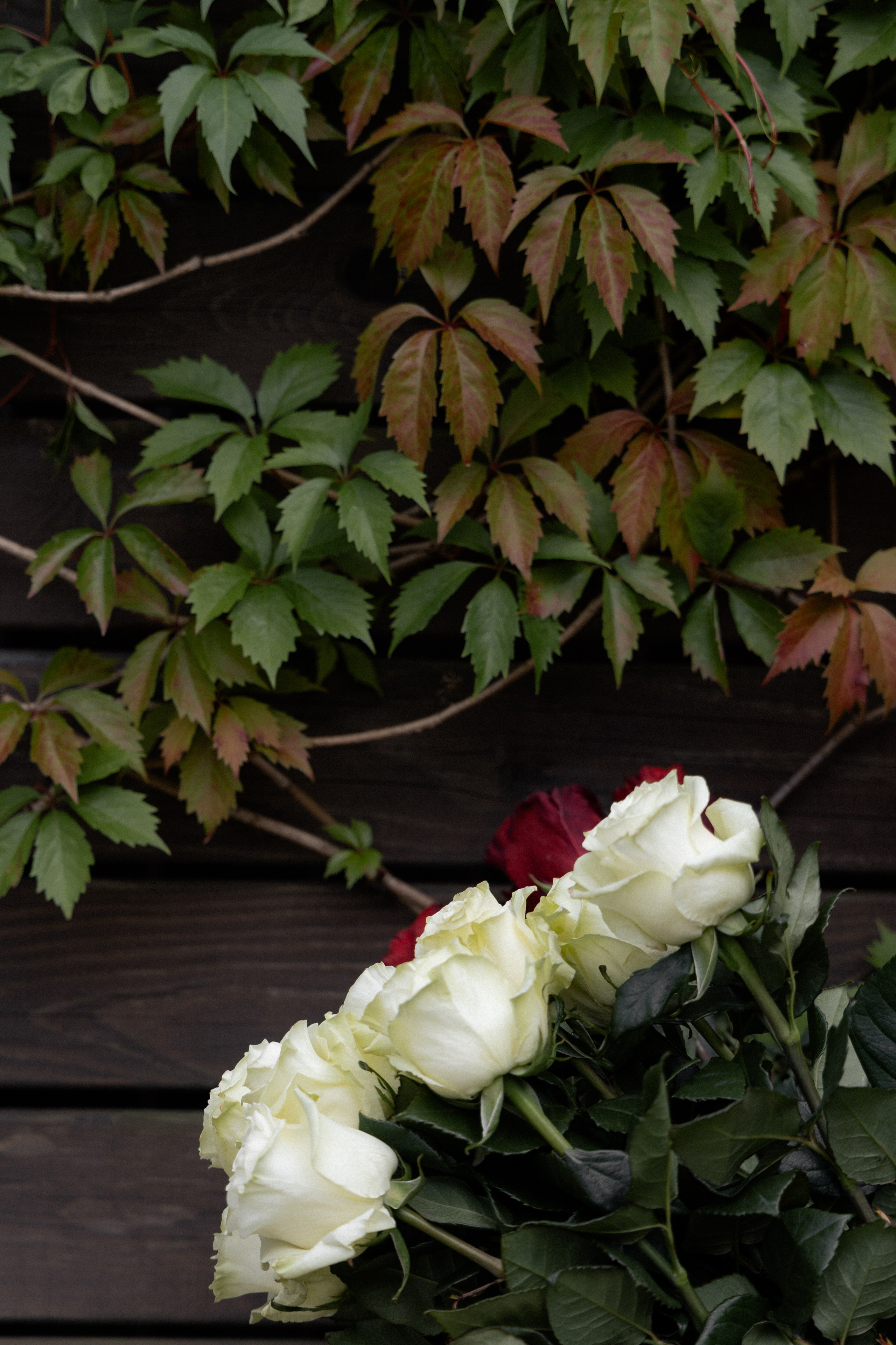 Свадебная фотосессия Анастасии и Игоря в Усадьбе Легенда. Свадебный фотограф в Минске/Беларуси Сергей Спиридонов