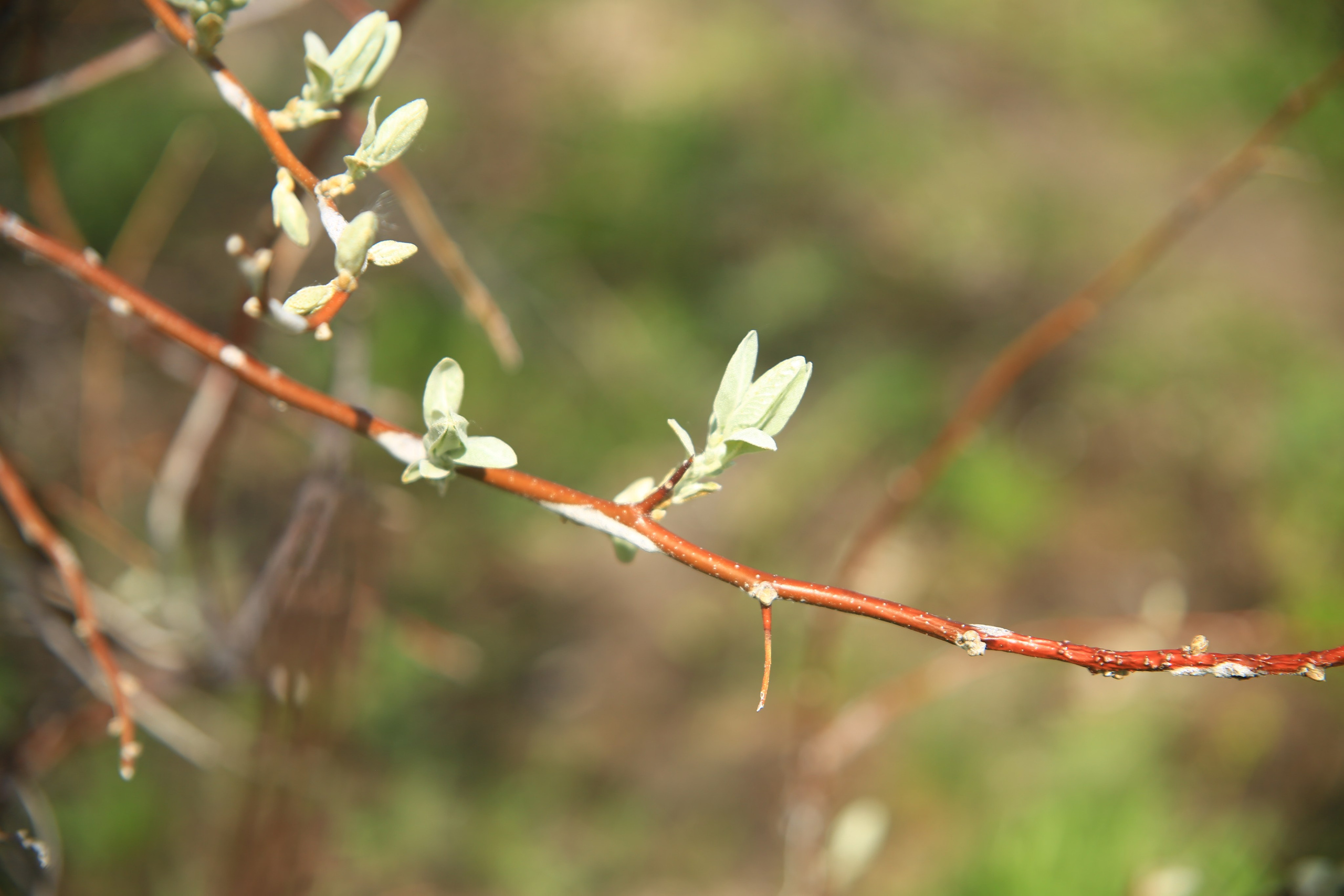 Всё, что я вижу вокруг себя