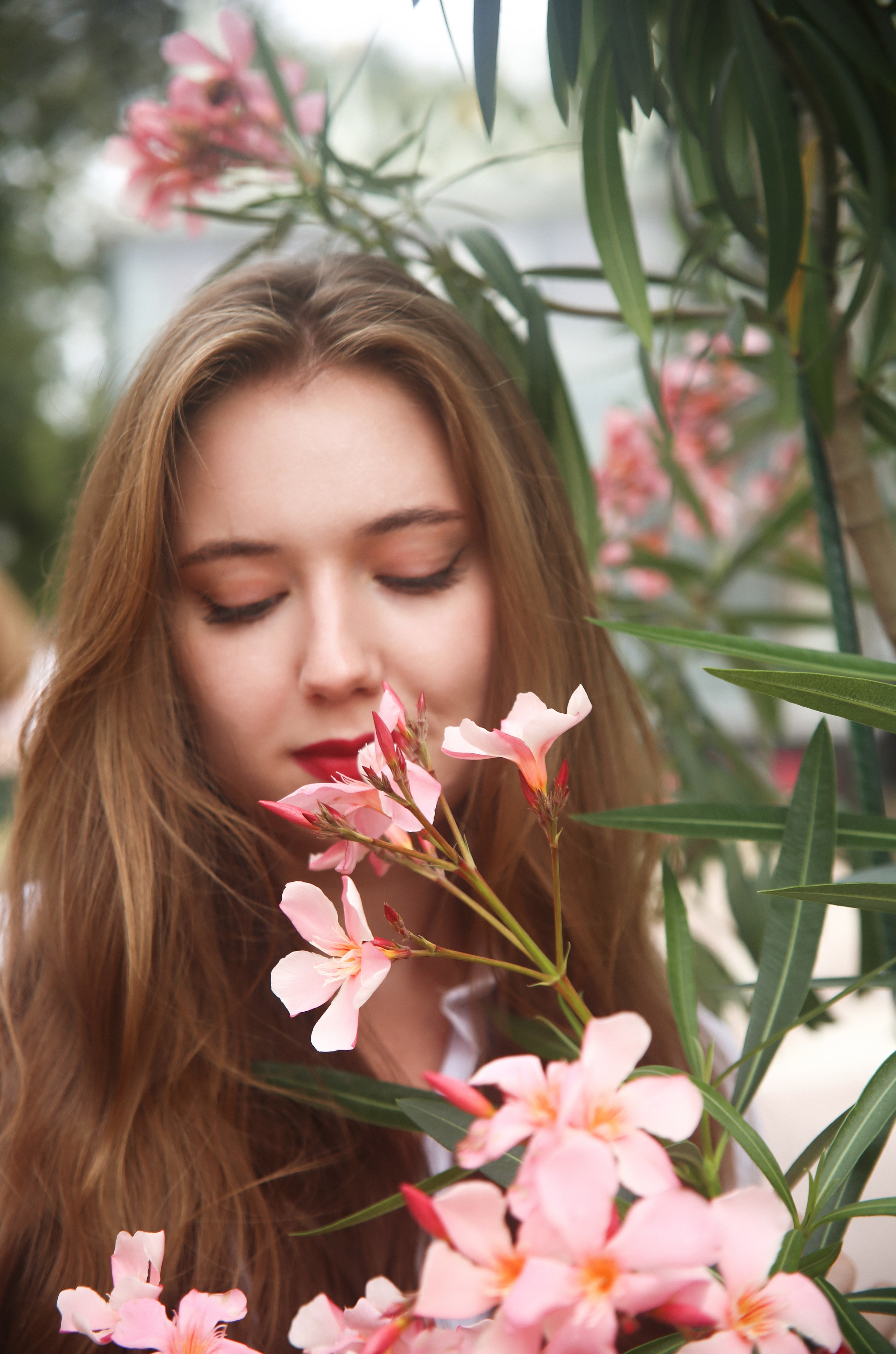 Красота и цветы