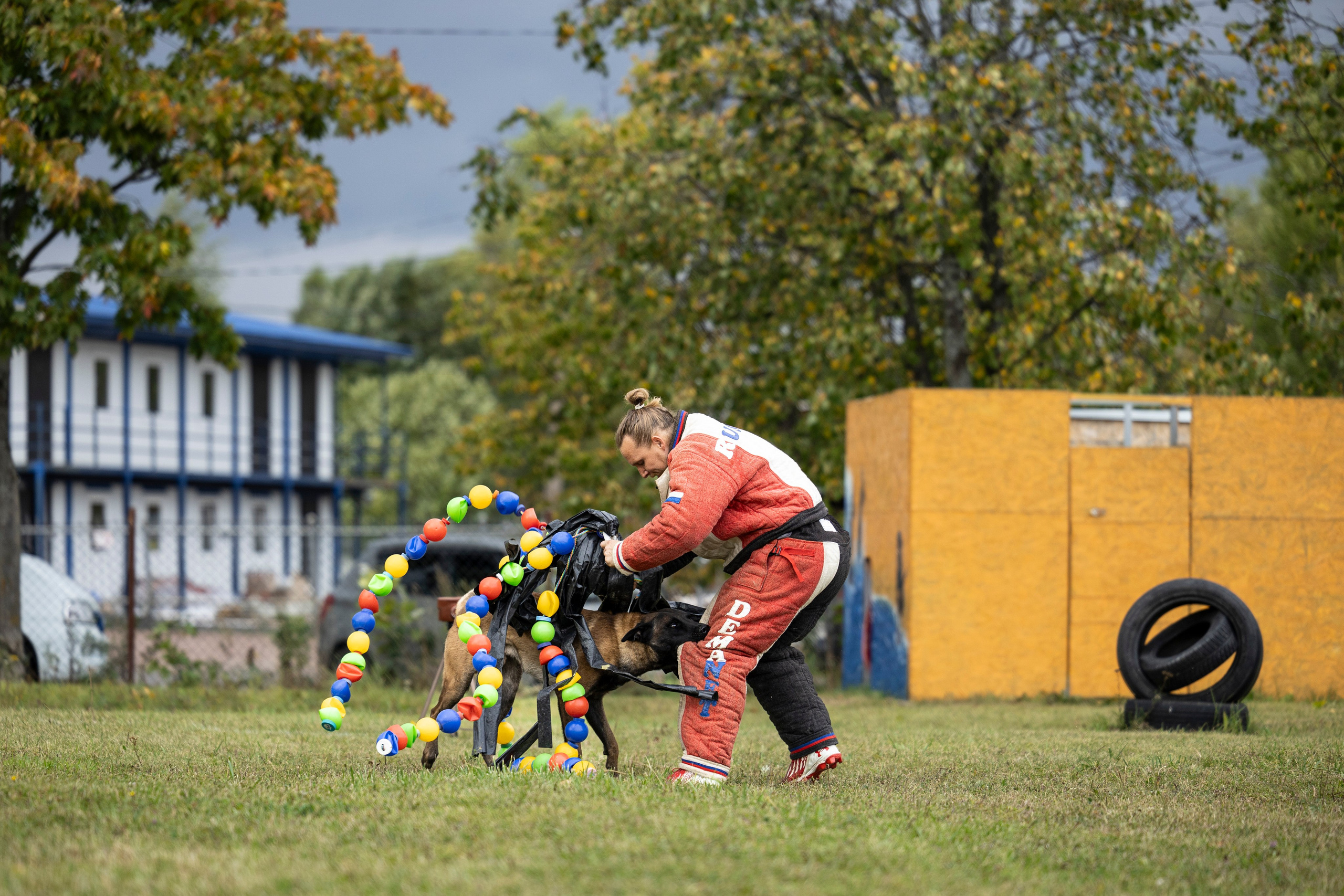 Испытания по Мондьорингу г. Пушкин. Фотограф-анималист Анна Маринич