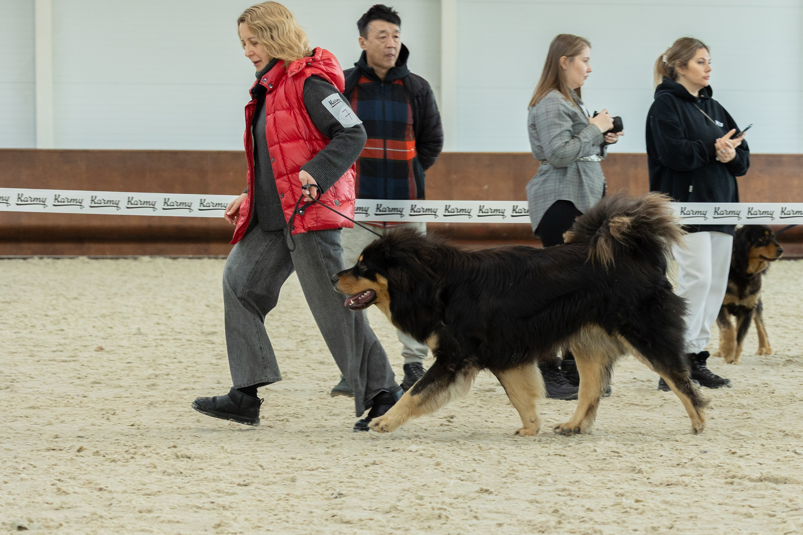 Моно Монгол Банхаров. Иркутск 2025. Фотограф-анималист|Иркутск