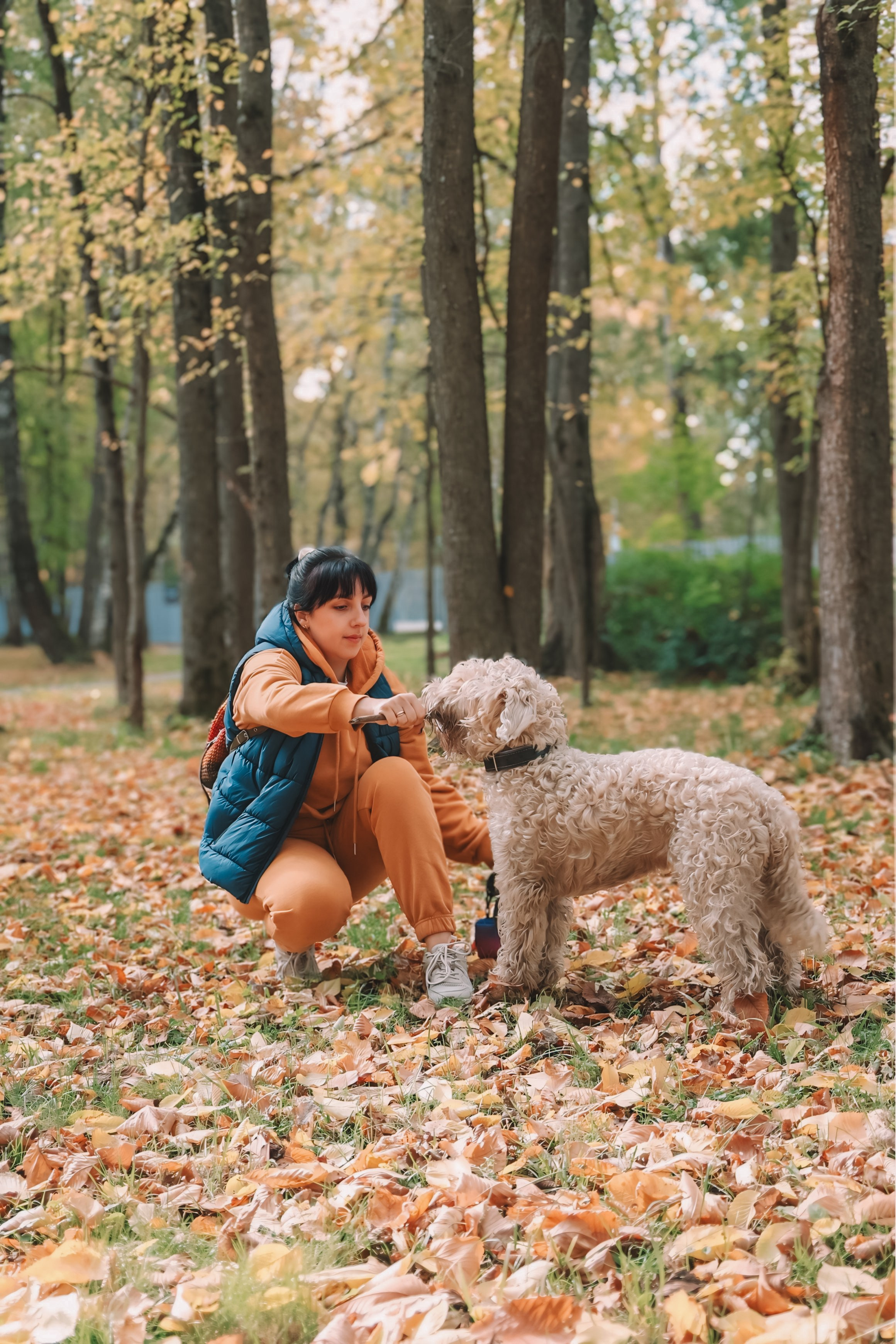 Четыре лапы и мокрый нос. Портретный и семейный фотограф в Москве Мария Иванова