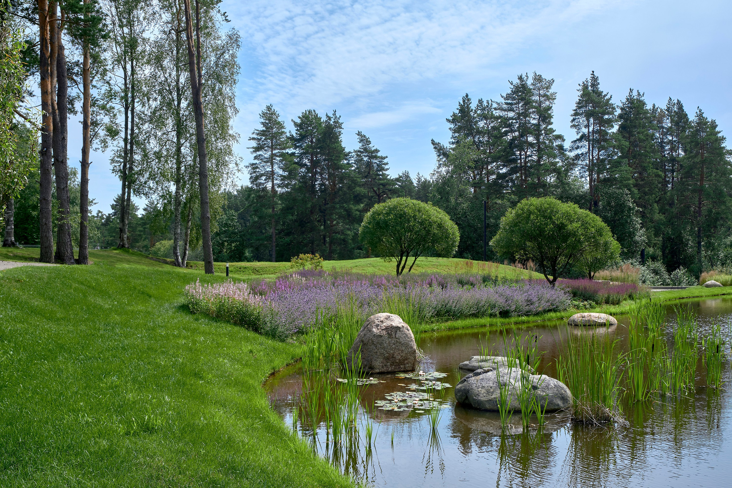 Ландшафтный и интерьерный фотограф Наталья Соловьева. Фотосъемка озеленения территории в КП Репинская Усадьба-4 для ландшафтной студии Аквилегия | interioto