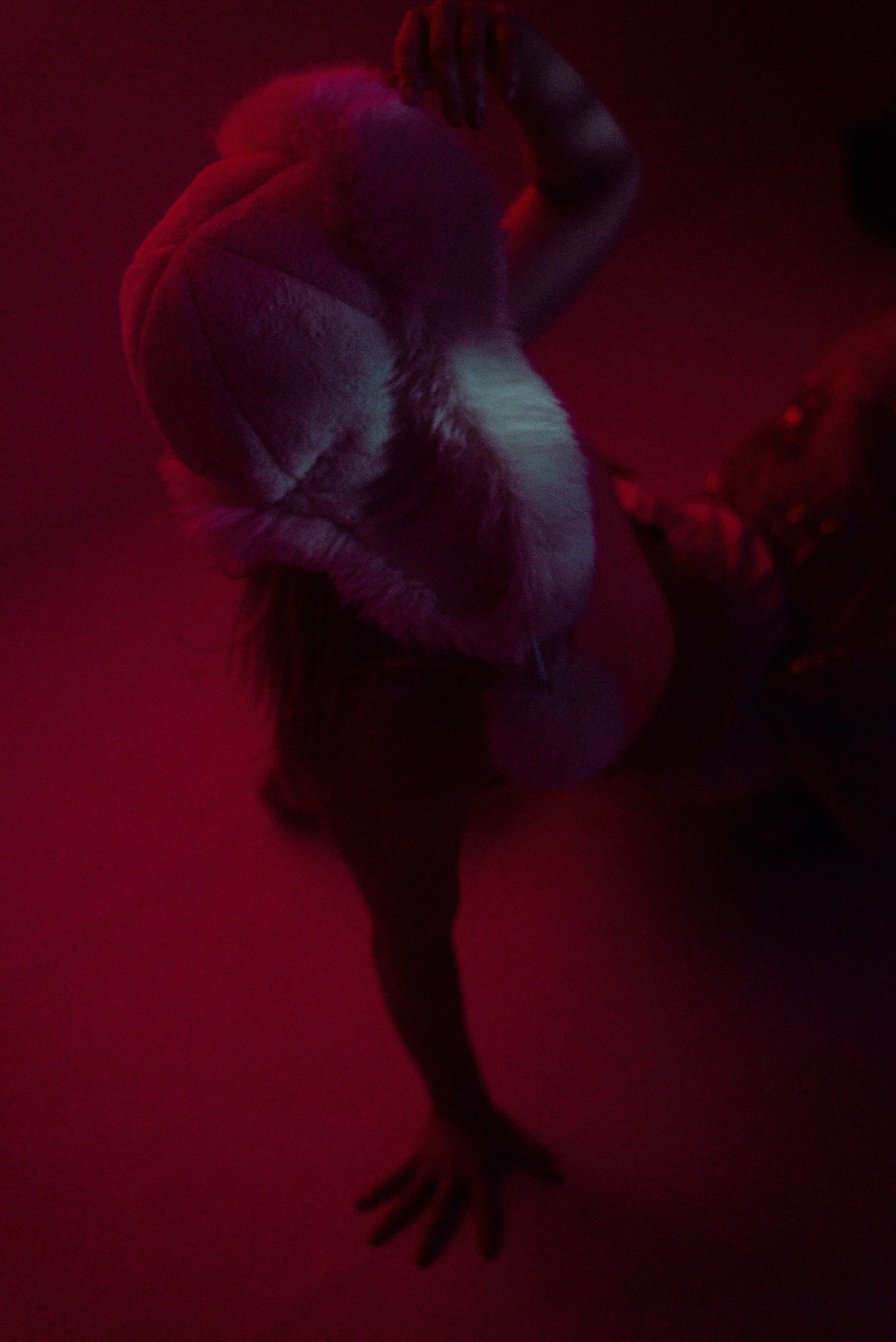 Эвелина. Семейный и детский фотограф Иваново Ксения Азаренкова