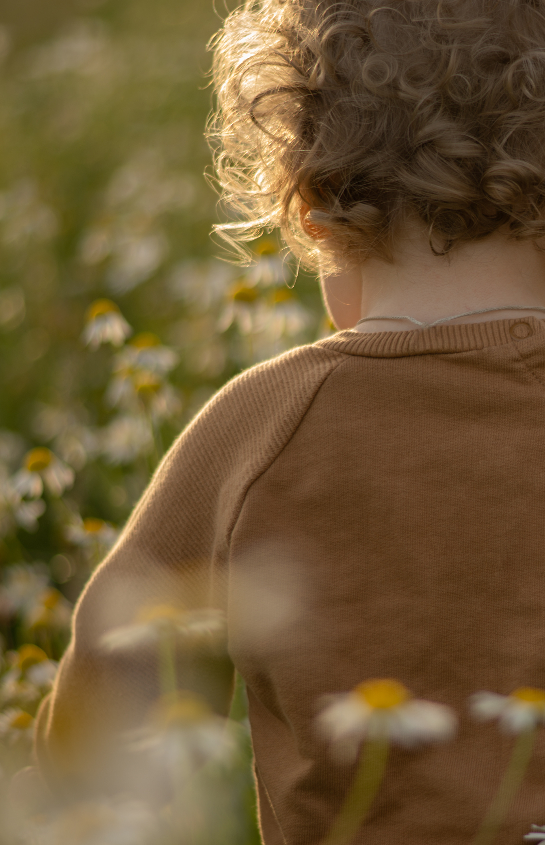 Детские портреты. Детский и семейный фотограф в Санкт-Петербурге и Ярославле Павлова Гал
