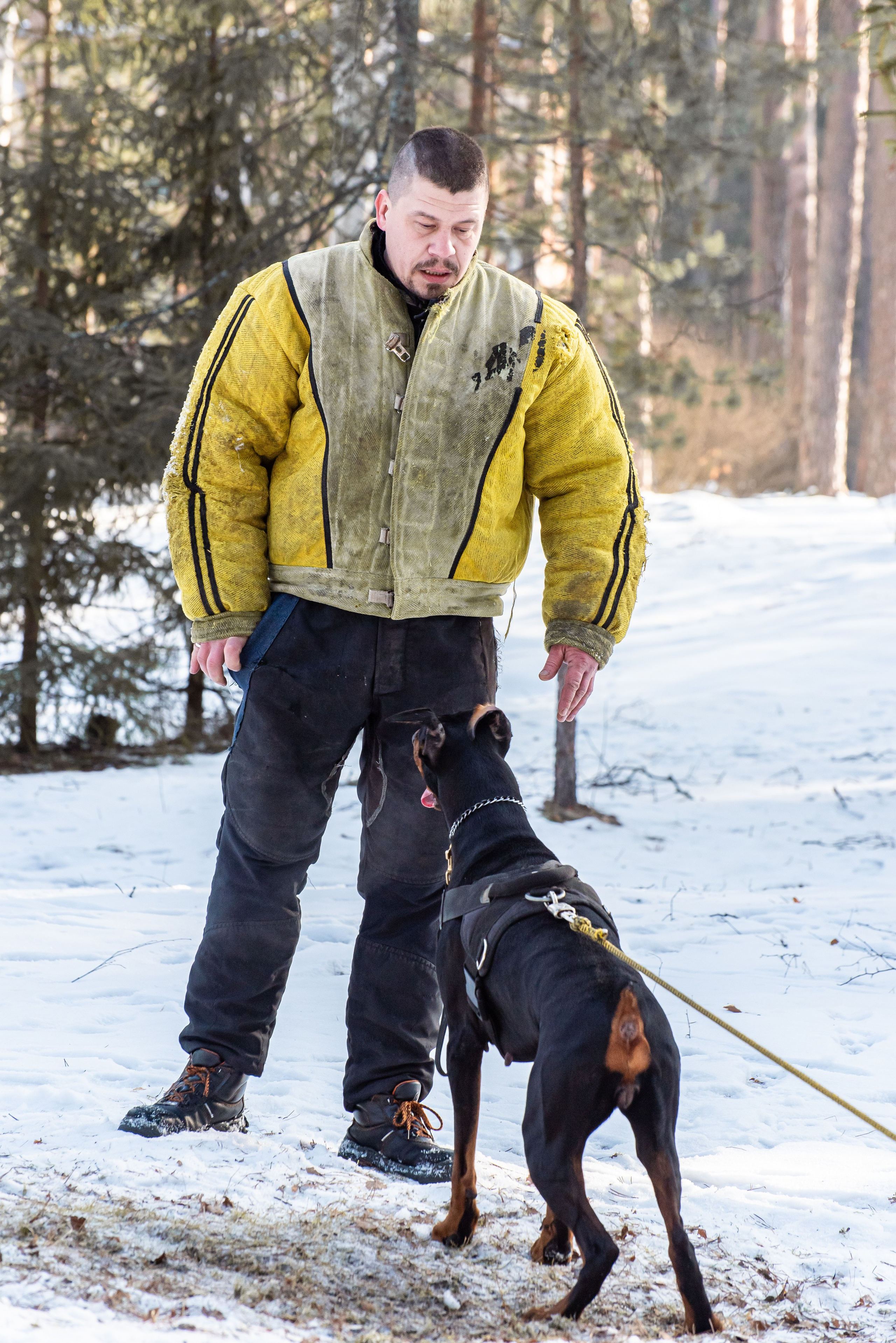 Фотосъёмка с собаками в Кинологическом лагере. Фотограф Макс Огурцов в Нижнем Новгороде