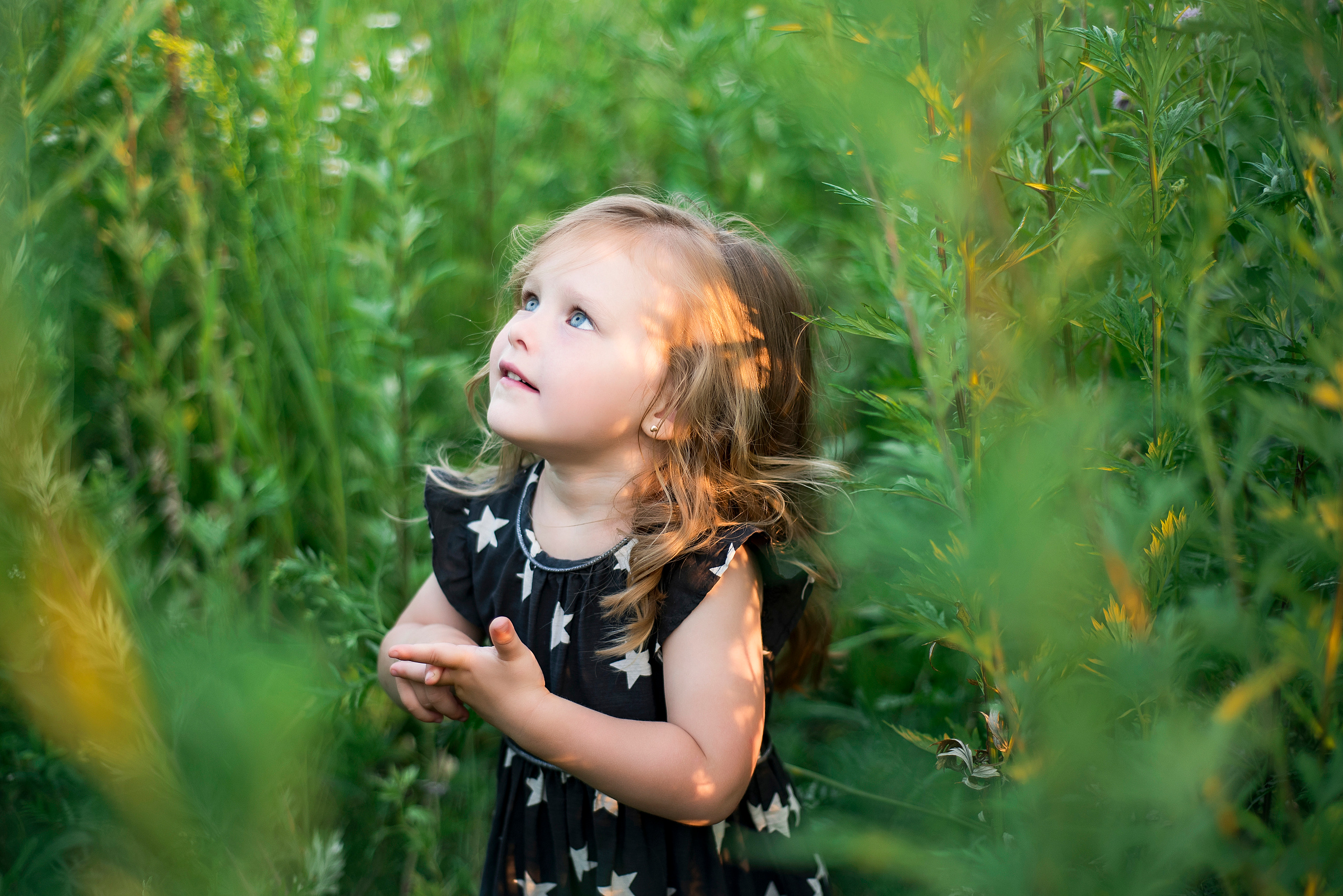 ЕВА. Свадебный и семейный фотограф Вероника Холод