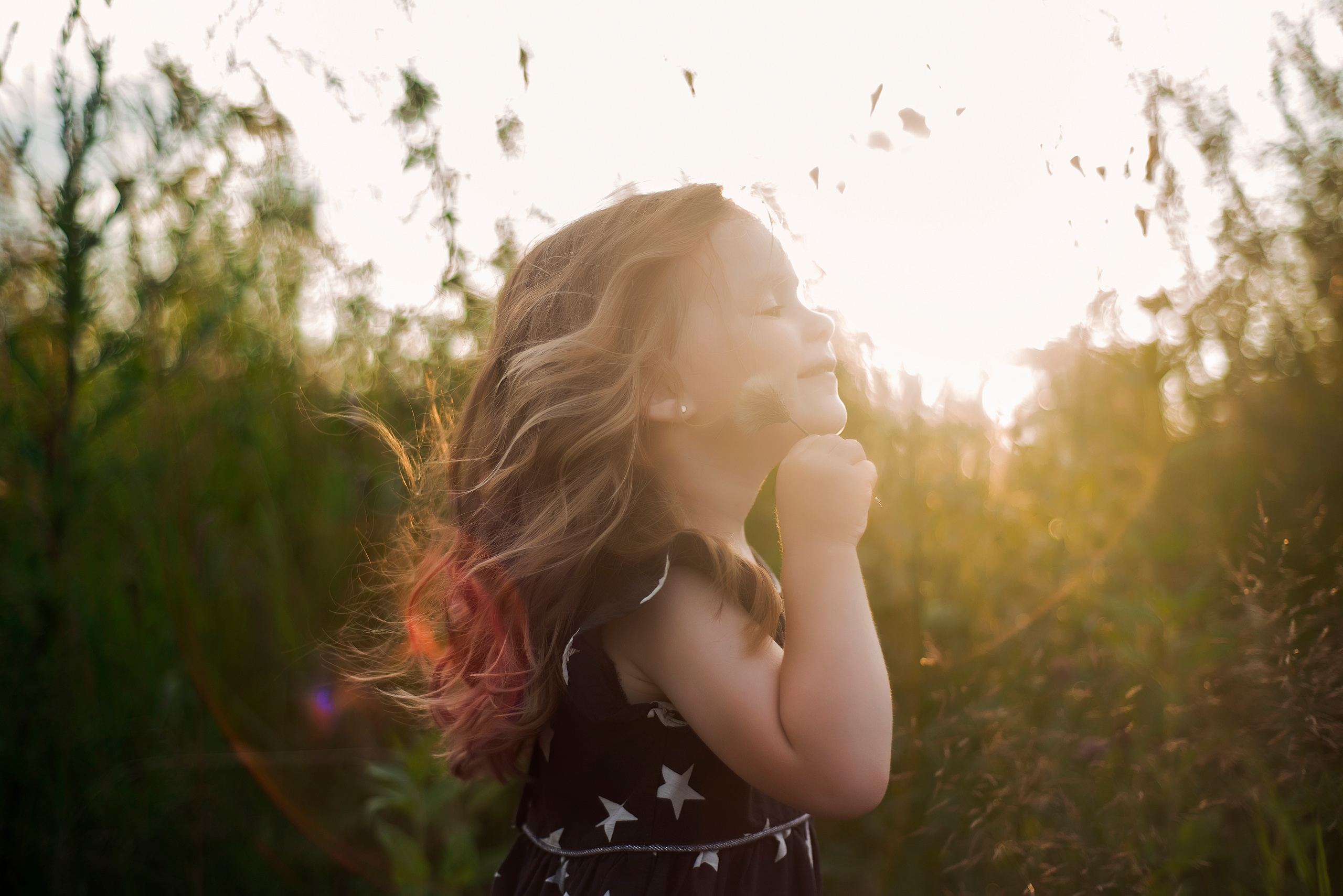 ЕВА. Свадебный и семейный фотограф Вероника Холод