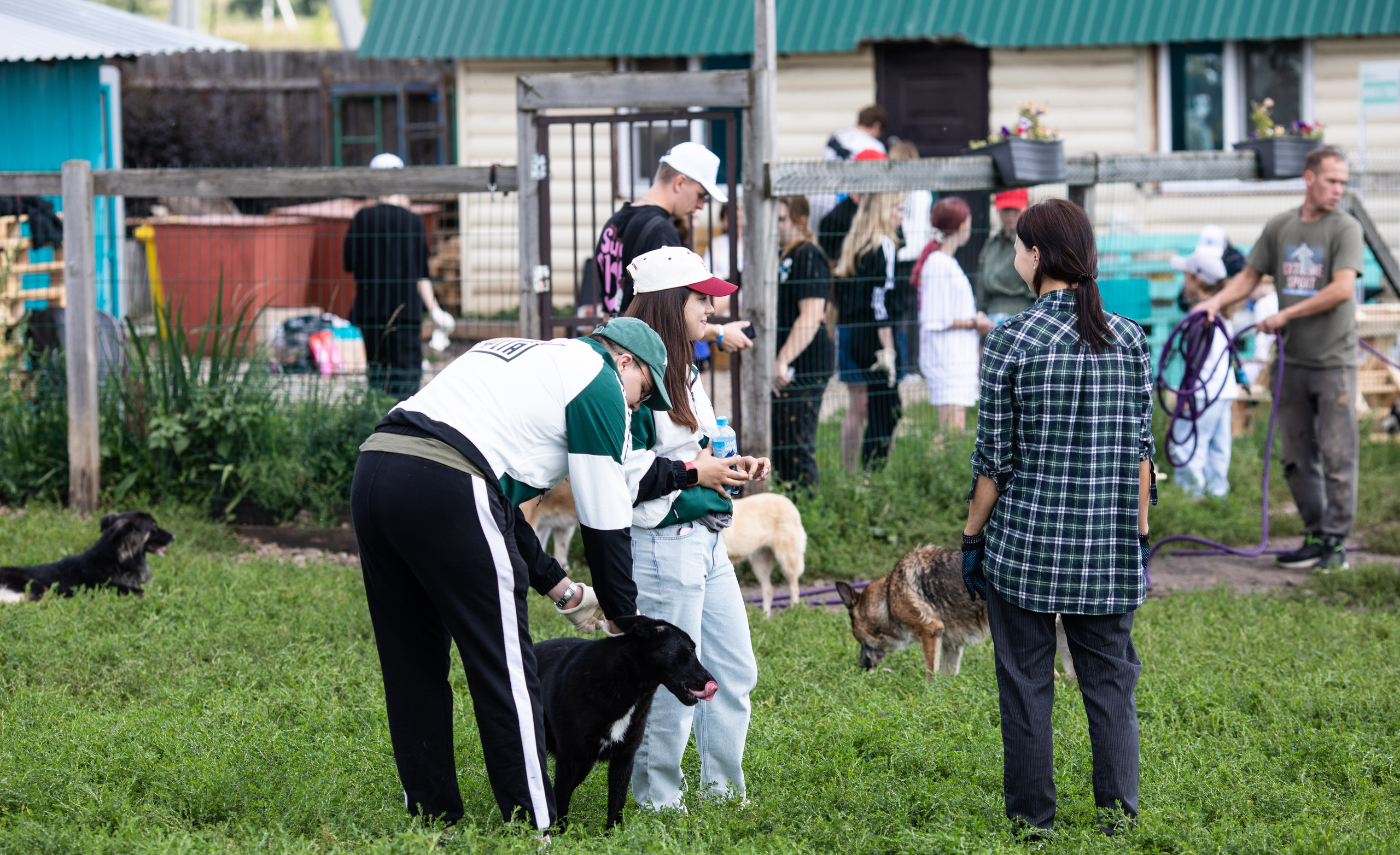 Приют — Наш дом. Репортажный и свадебный фотограф в Челябинске Елисеев Павел
