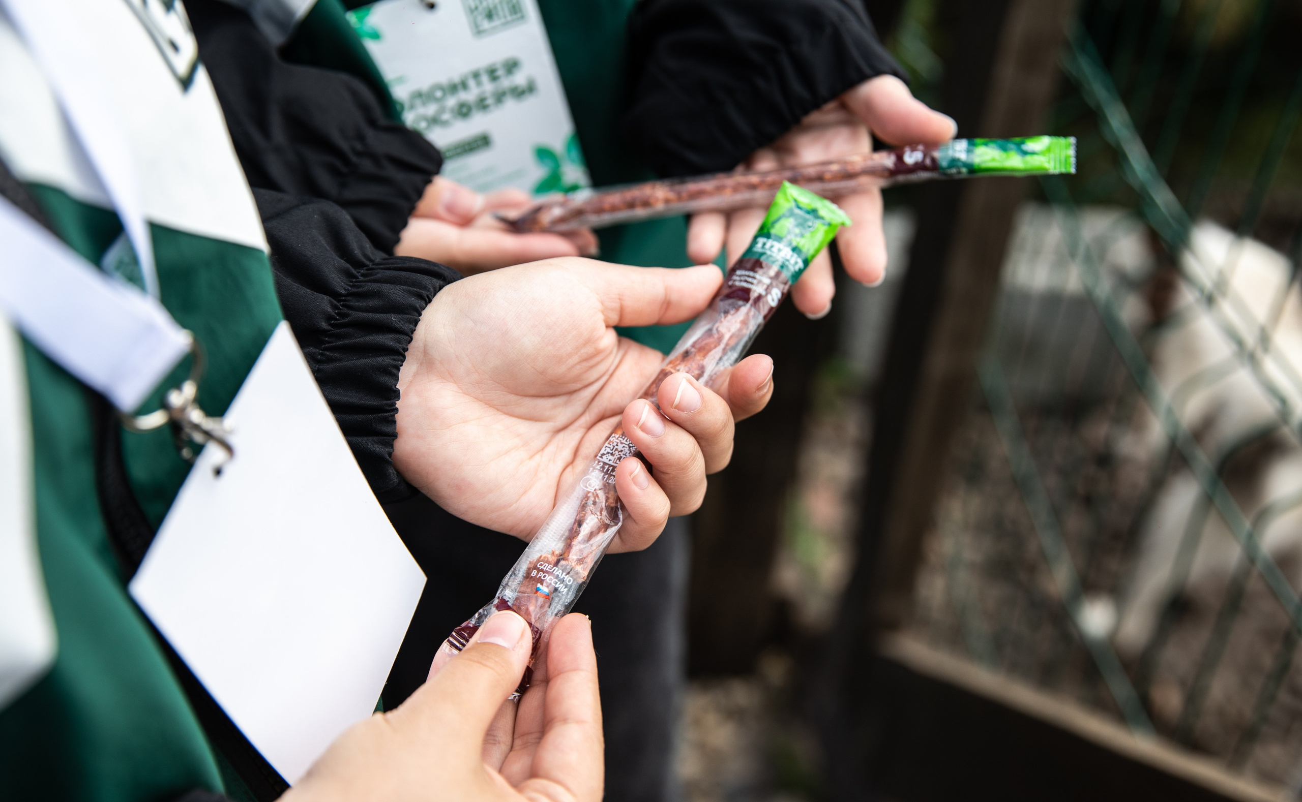 Приют — Наш дом. Репортажный и свадебный фотограф в Челябинске Елисеев Павел