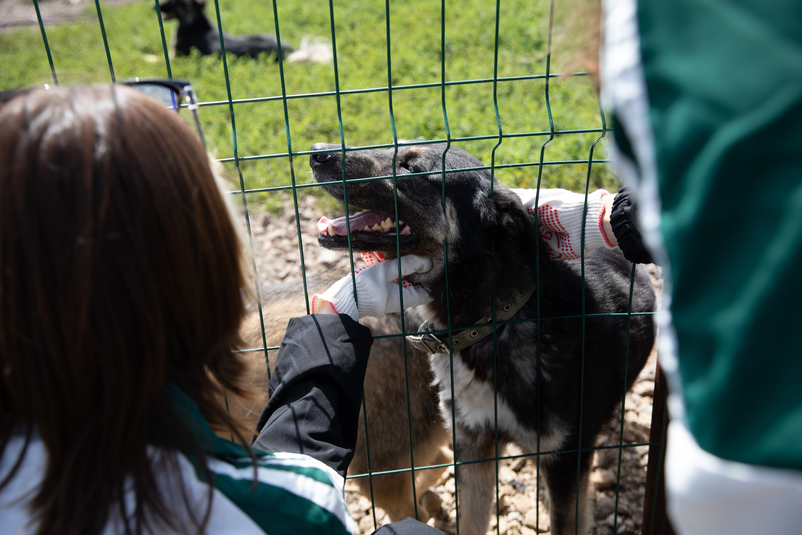 Приют — Наш дом. Репортажный и свадебный фотограф в Челябинске Елисеев Павел