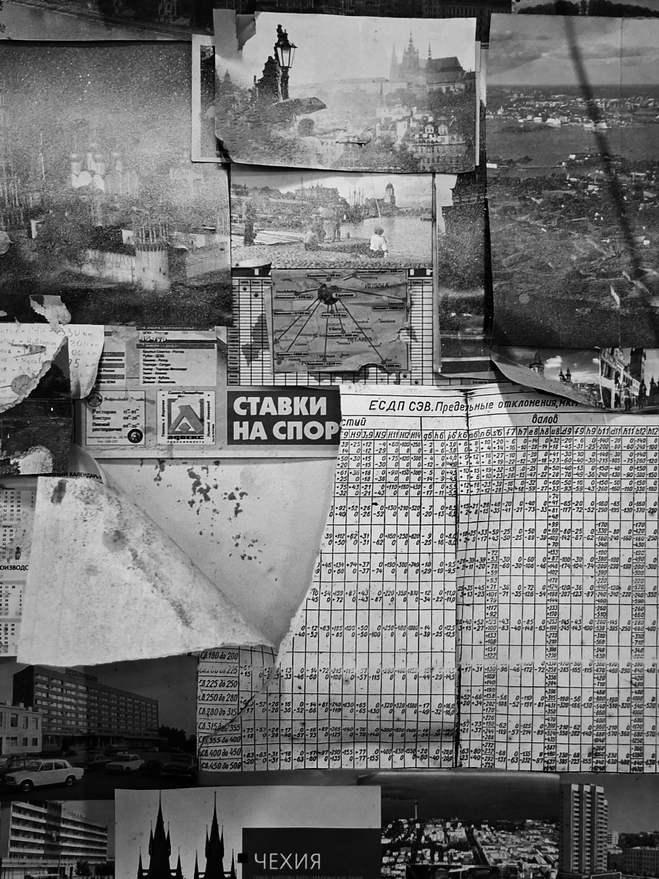 ㅤㅤ. Анна Мильч