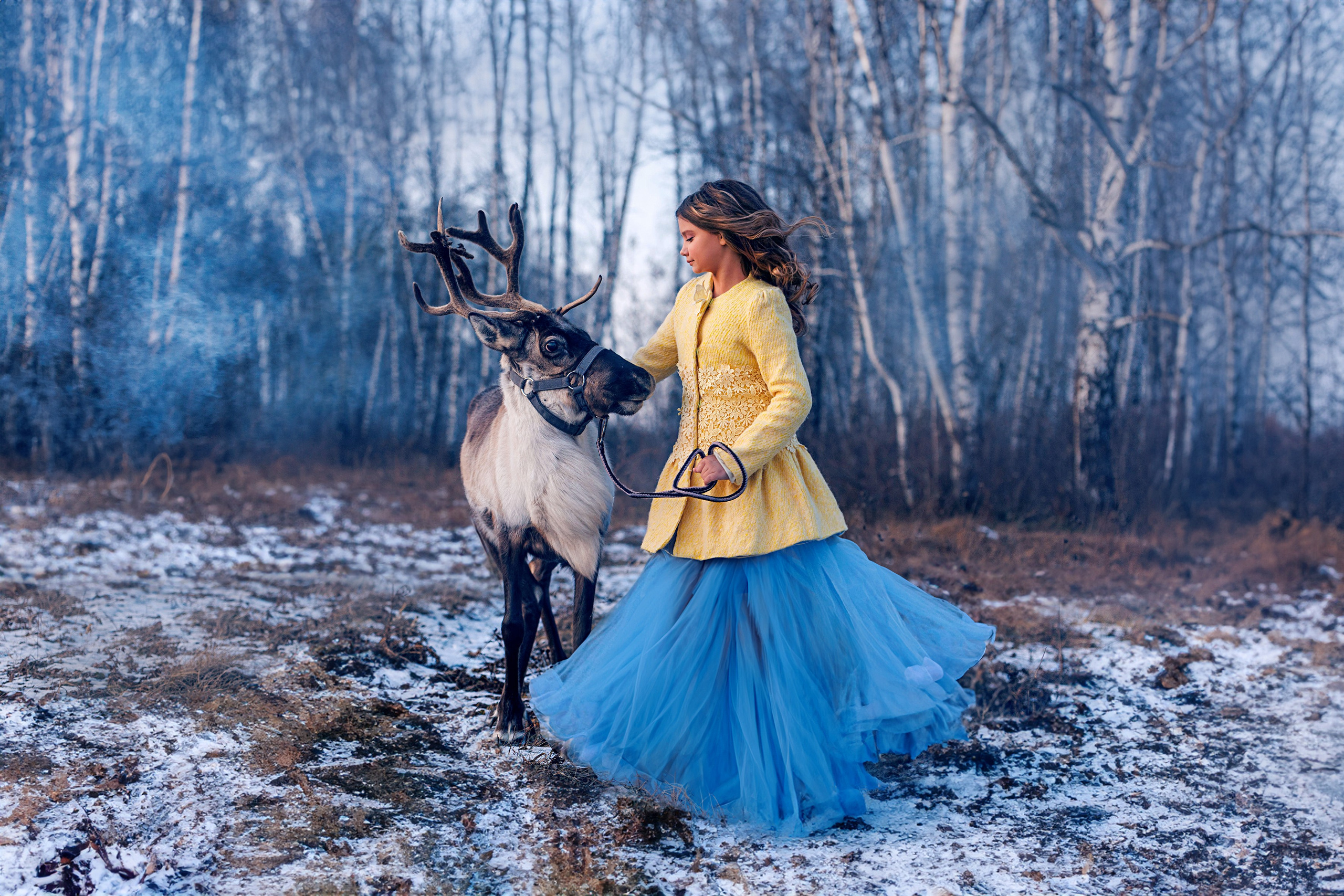 Олениха Нося 2024. Конный фотограф в Красноярске — Любовь Похабова