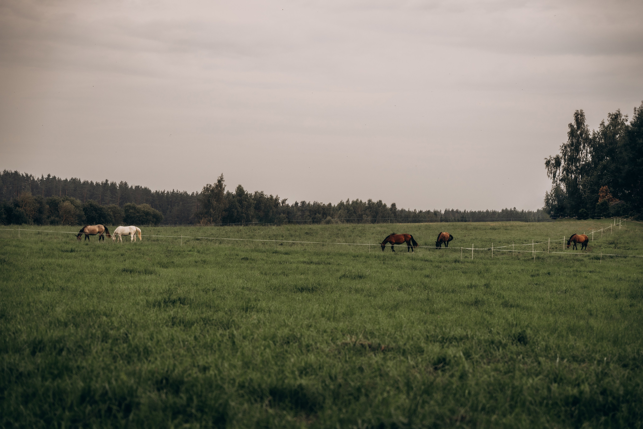 Лорена и Николь. Фотограф Мария Миллс | Минск