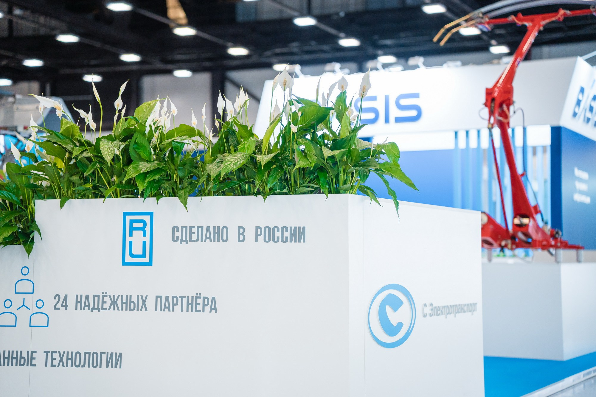 V ММФ БРИКС+ 2023. Фотограф Сергей Лукьяненко