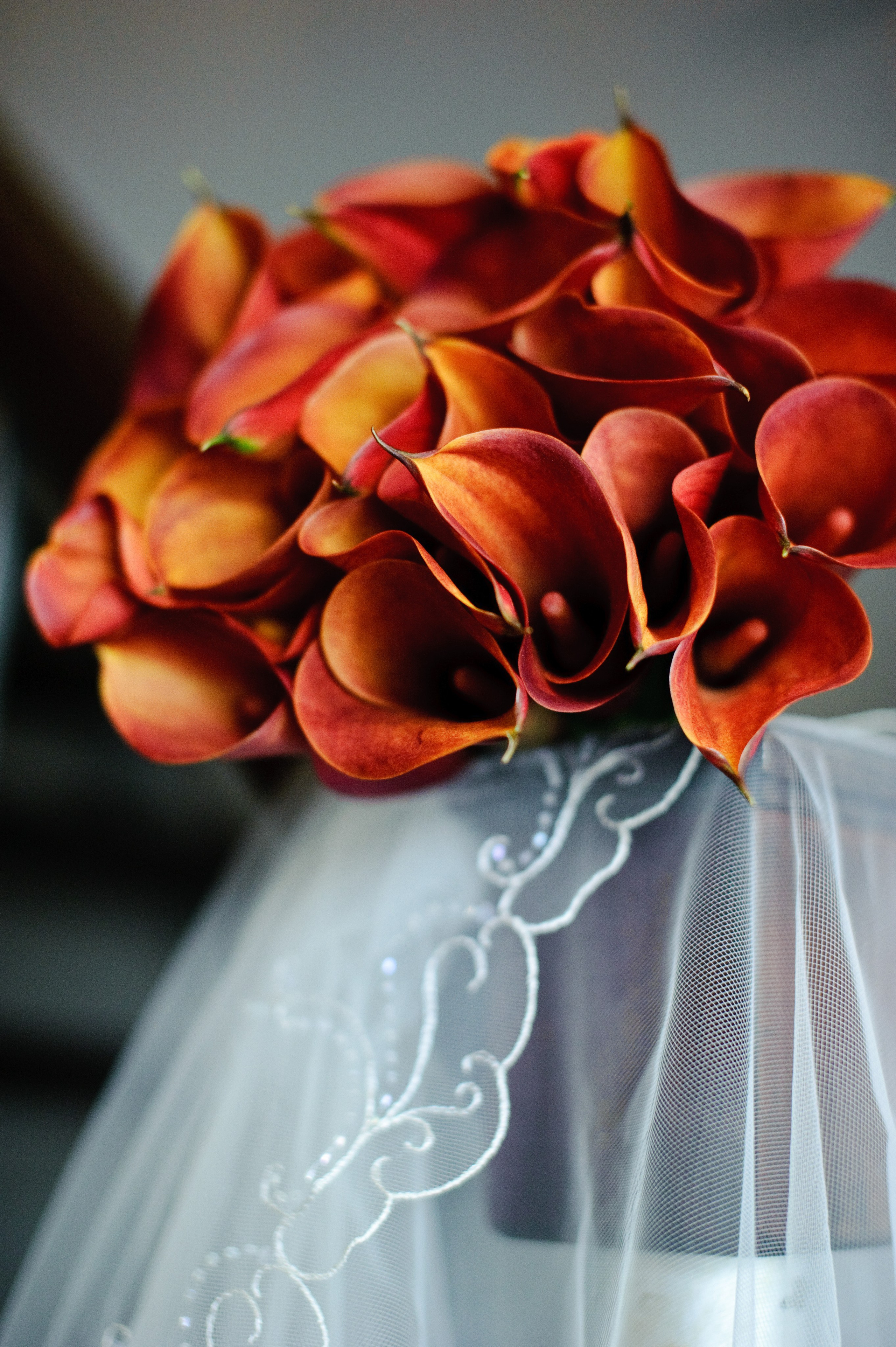 Анна и Максим. Свадьба, Королев. Семейный фотограф Анна Дубовская