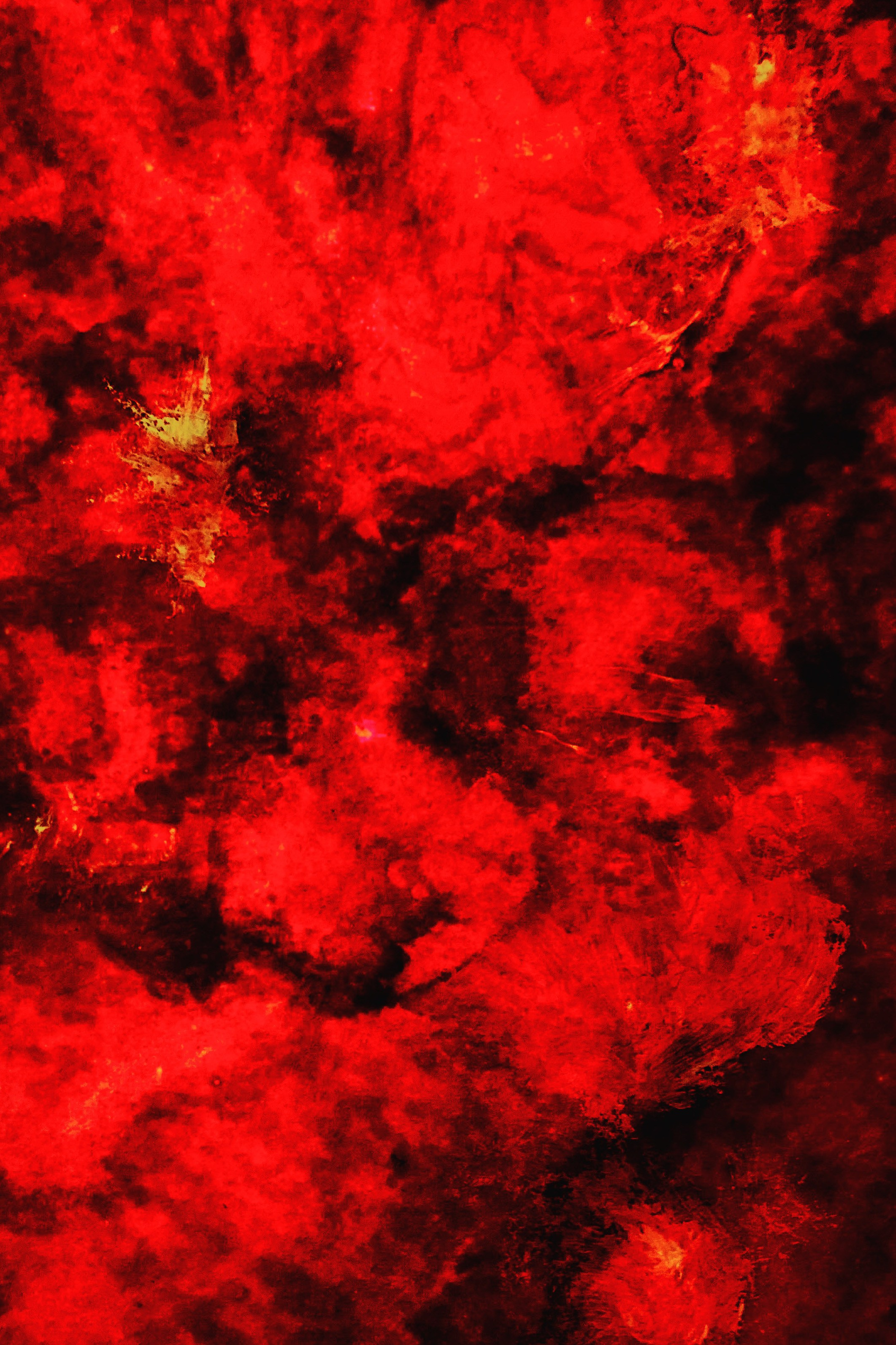 Автор: Себастьян Каминский