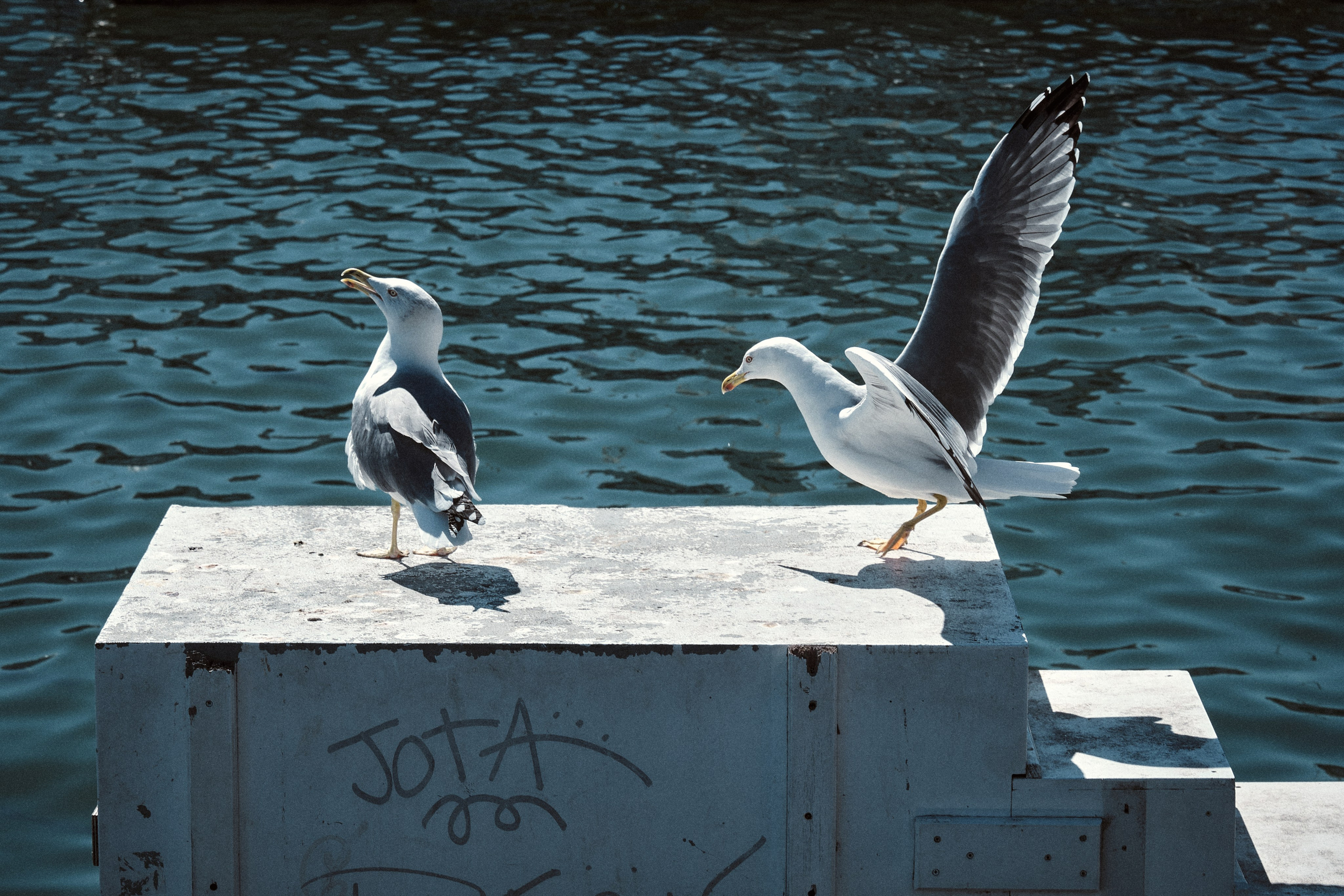 Barcelona. Aleksandr Kobtsev