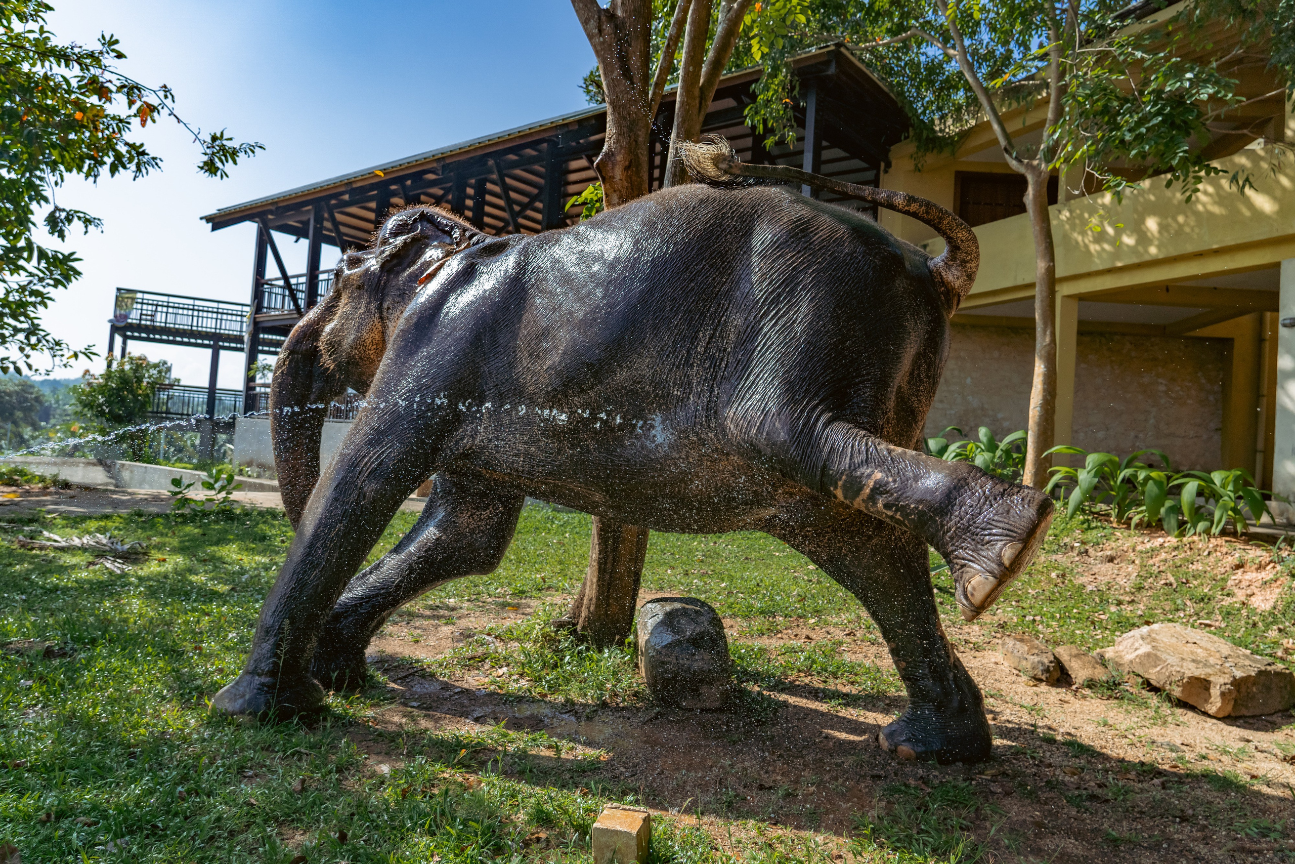 Promo content shooting for Ceylon Forward Tours