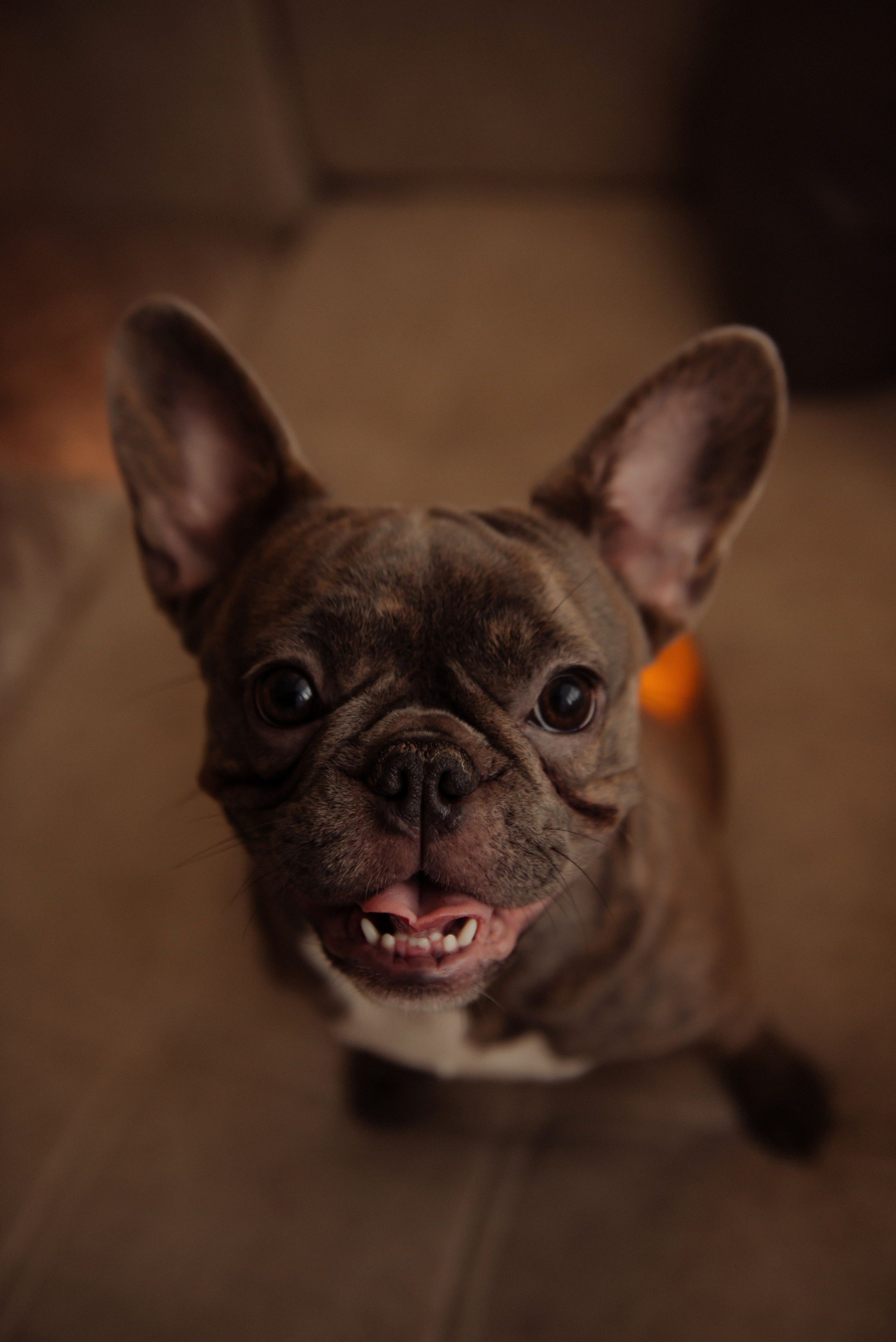 Катя. Свадебный, портретный, фотограф беременности в Нижнем Новгороде Алина Зиновьева