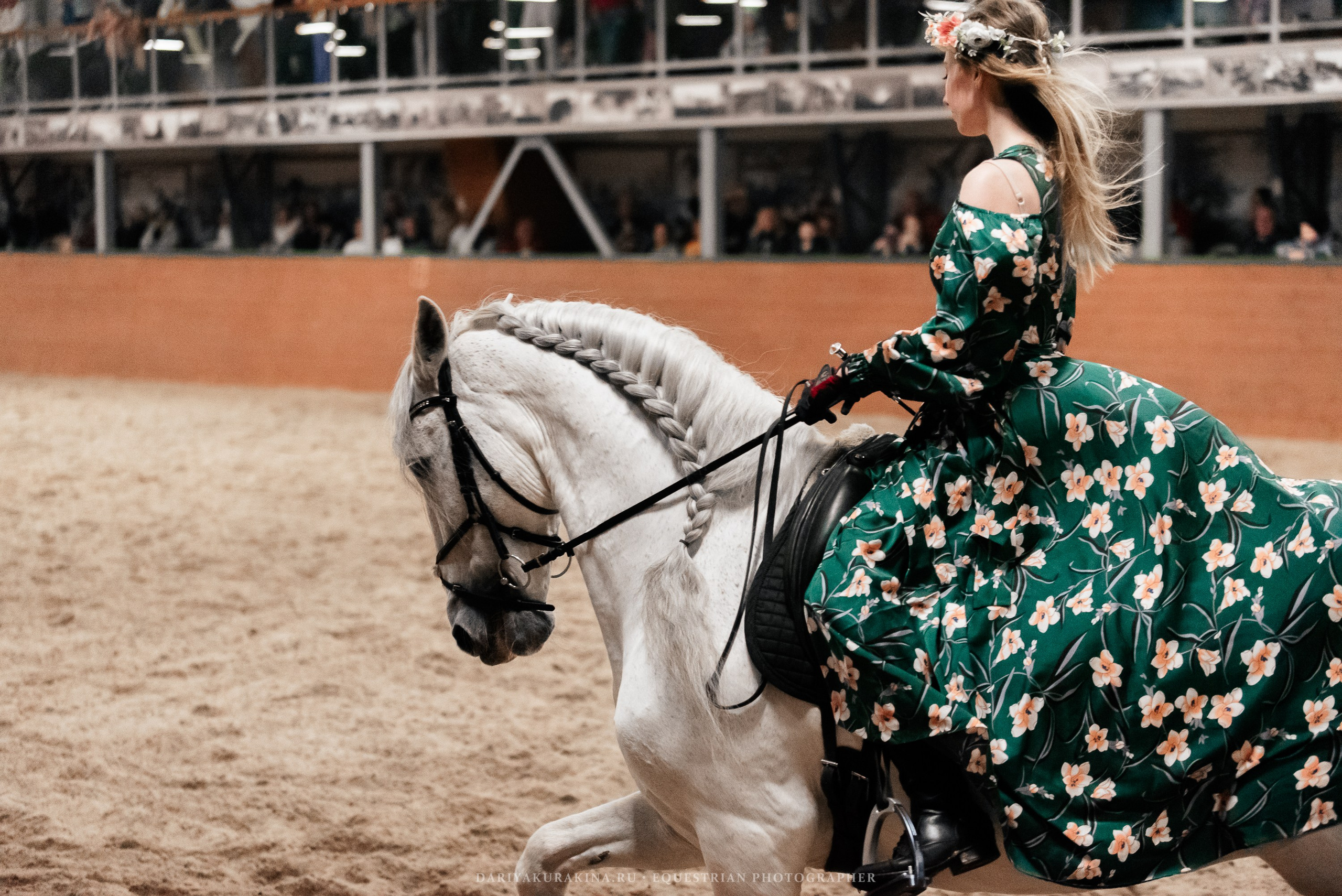 Конное представление «Дыхание Звёзд». Конный фотограф Куракина Дарья • Фотосессии с лошадьми
