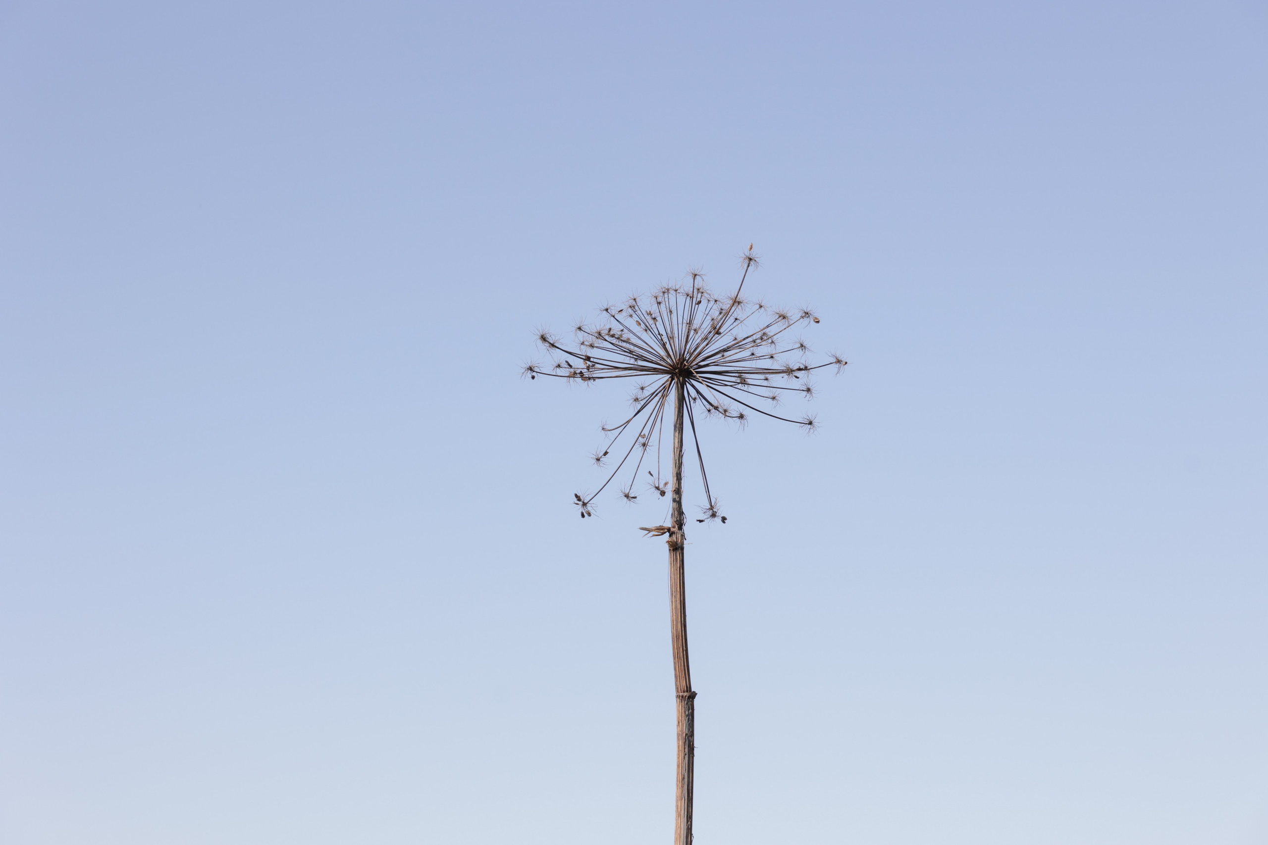 Art prints. Фотограф алина стерхова, алина стерхова фотограф, фотограф москва