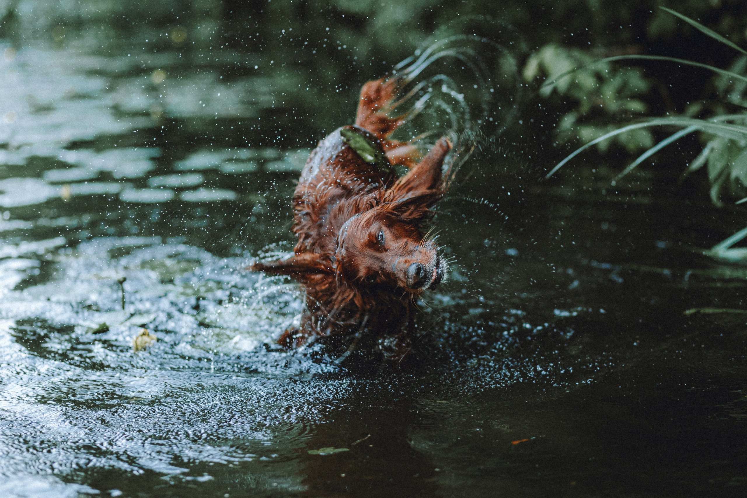 Маша и Джерри