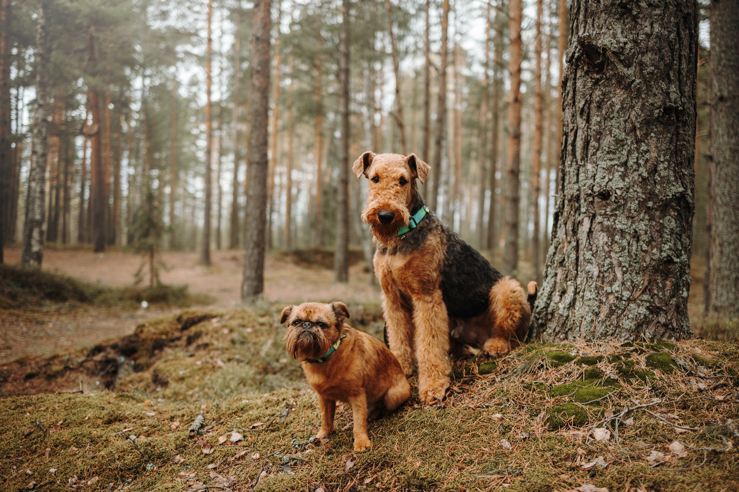 Вера и ее семья. Фотограф — Анималист | Санкт-Петербург