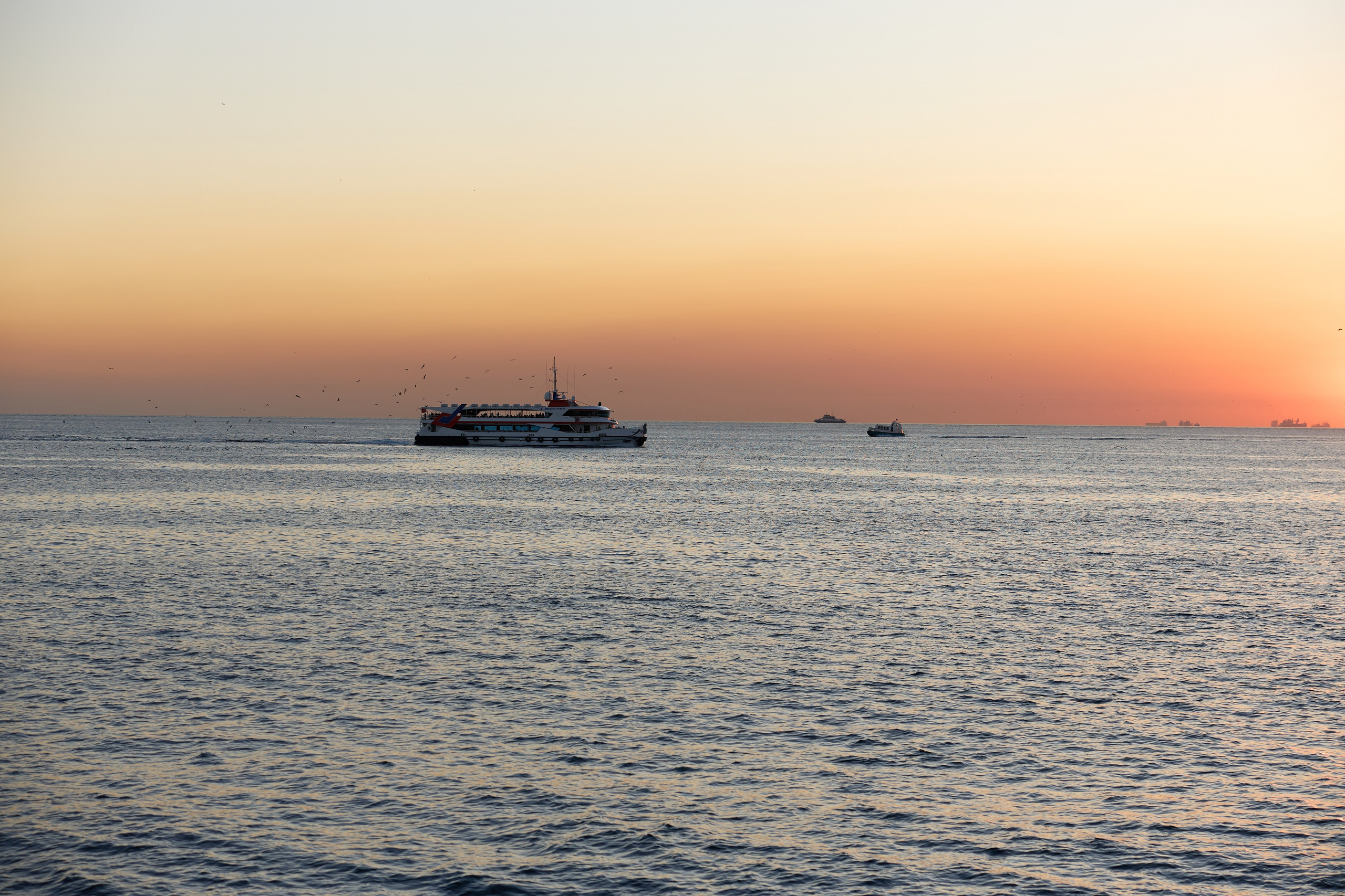 Стамбул 24. Фотограф Москва, Дима Пеллер
