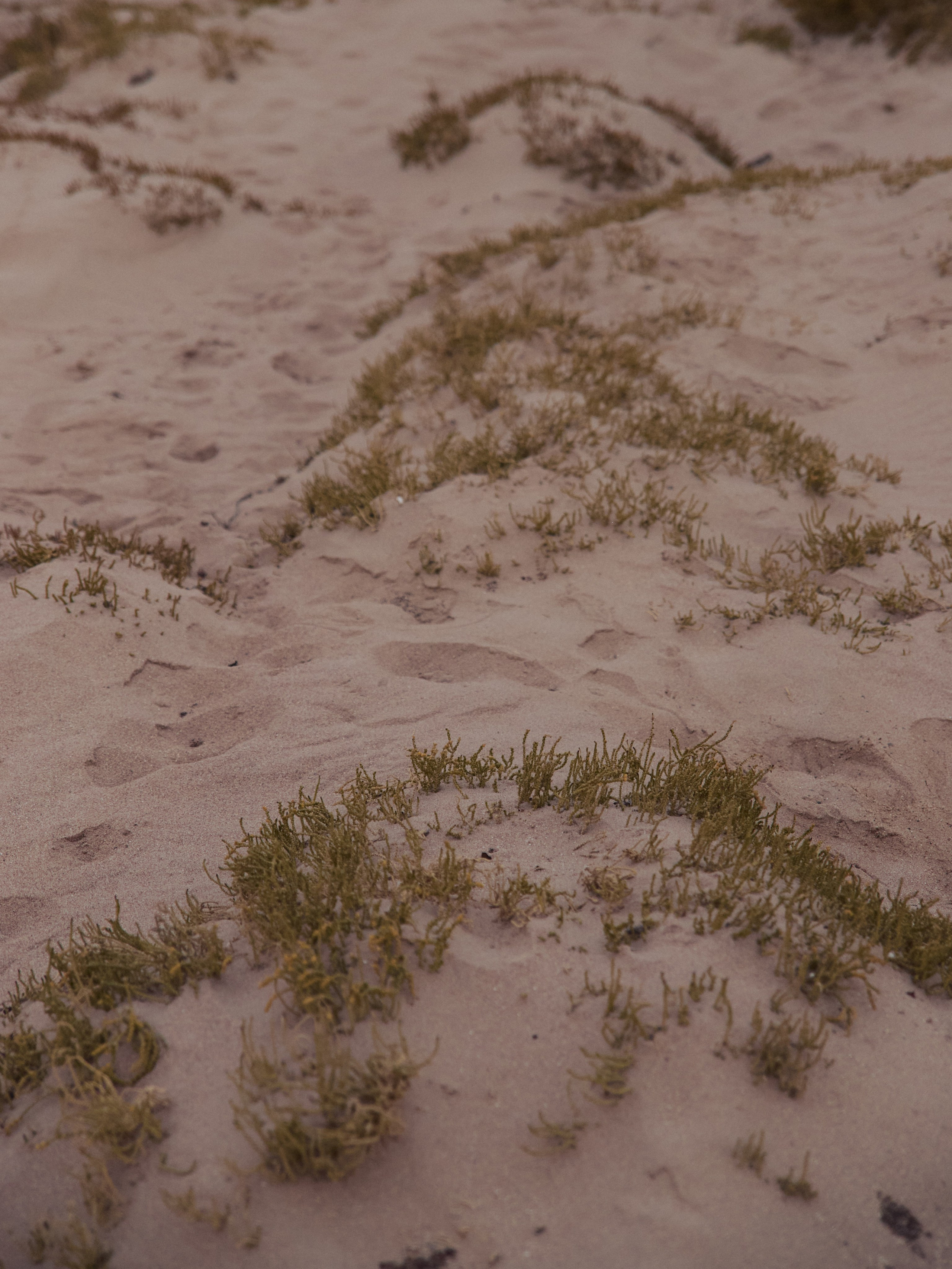 Природа. Jorgis Talè — photographer, kind person, teacher of arts and other mag