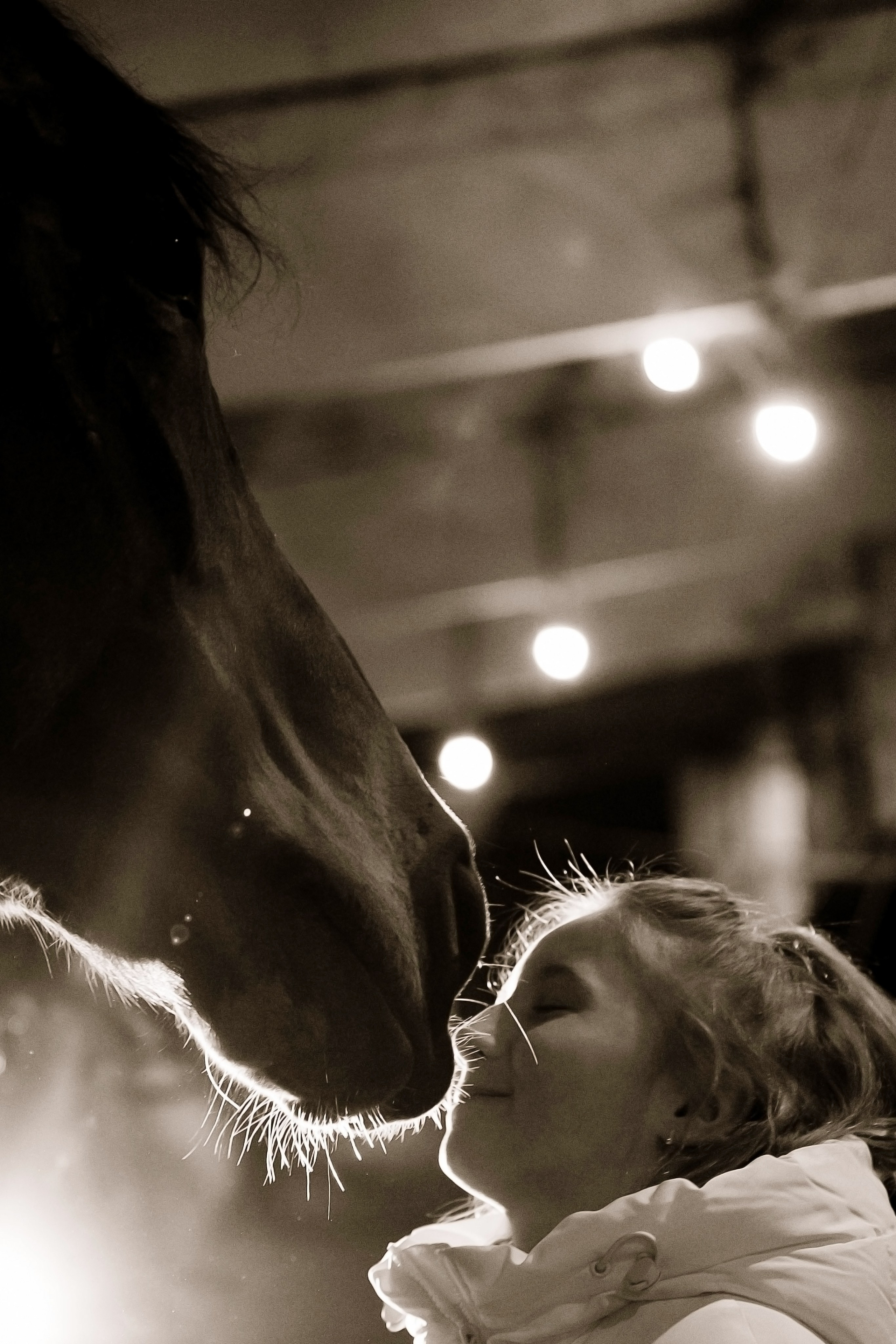 Лошади. Ваш фотограф в Москве и области Юлия