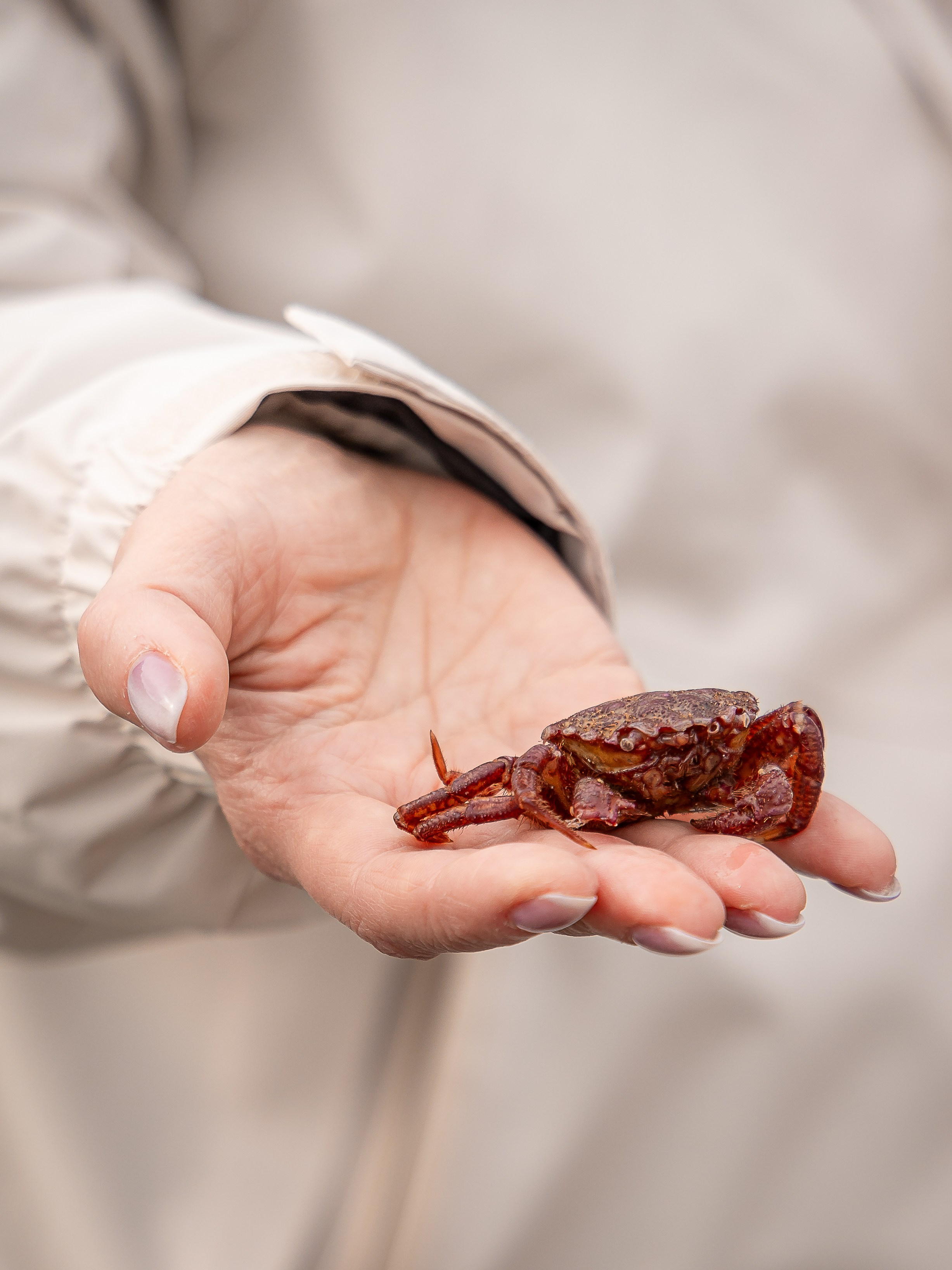 Мыс Великан. Инга Кузьминская ТОП-фотограф г. Корсаков