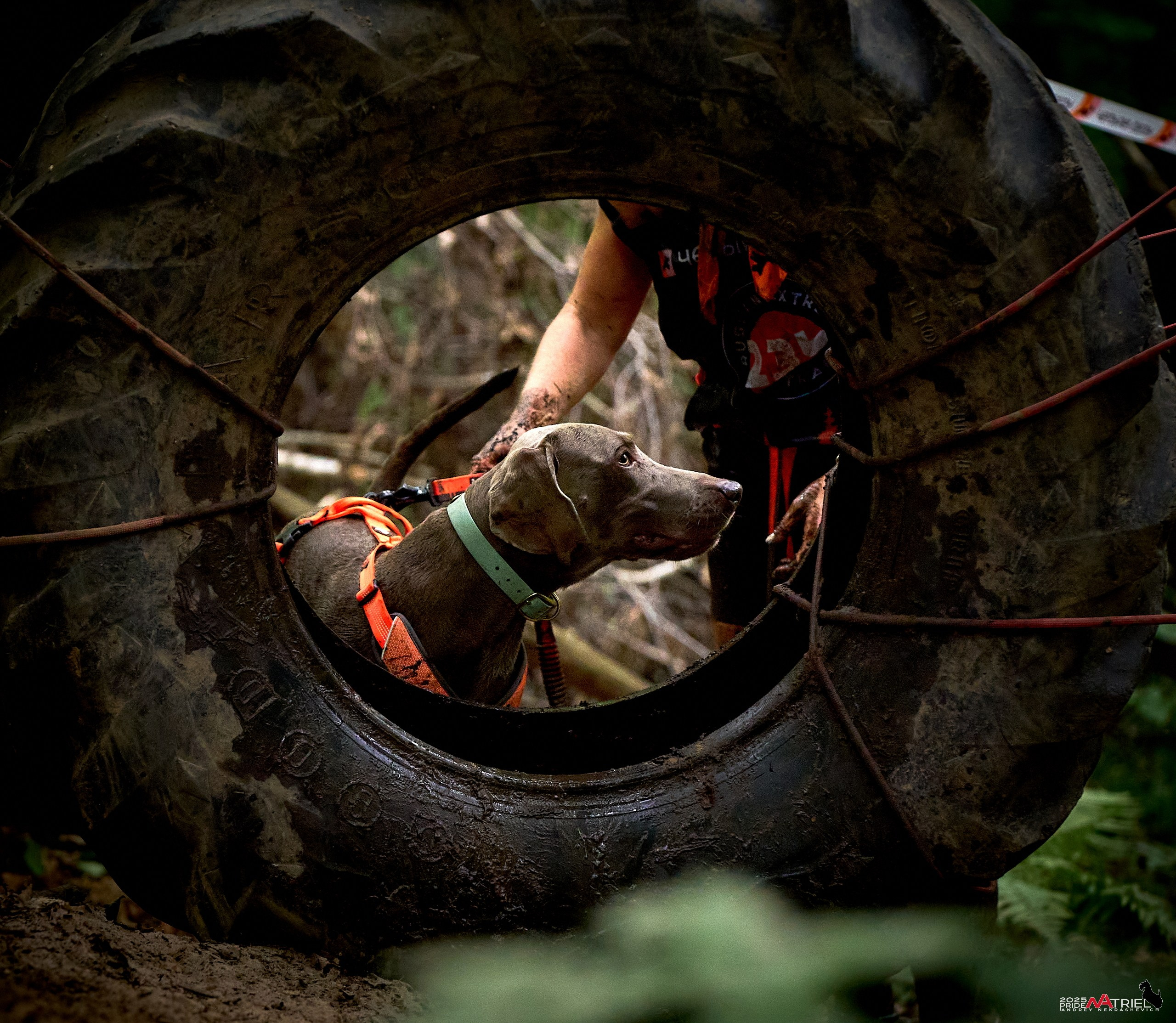 Russian Extreme Dog Trail — 2025