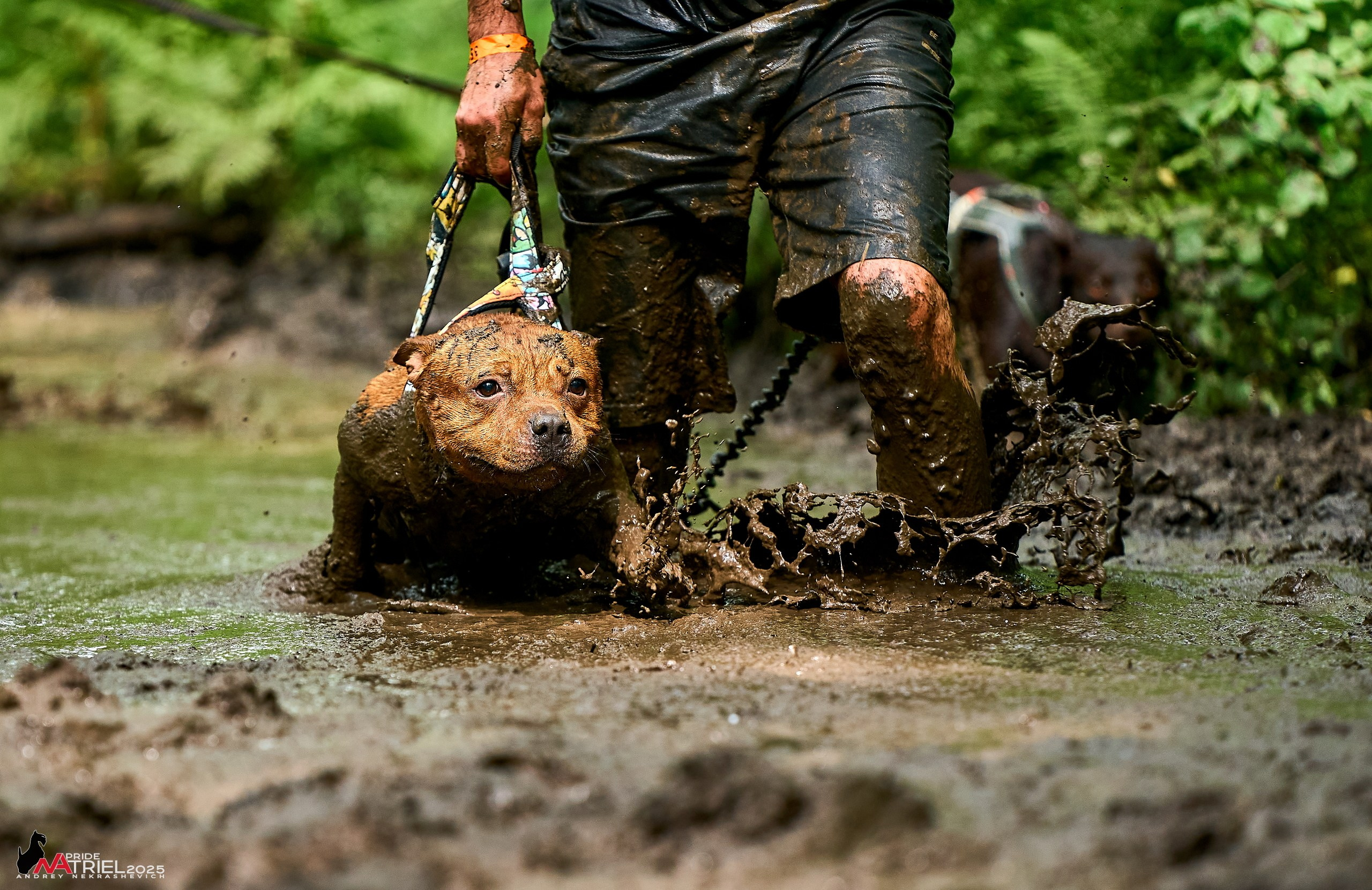 Russian Extreme Dog Trail — 2025
