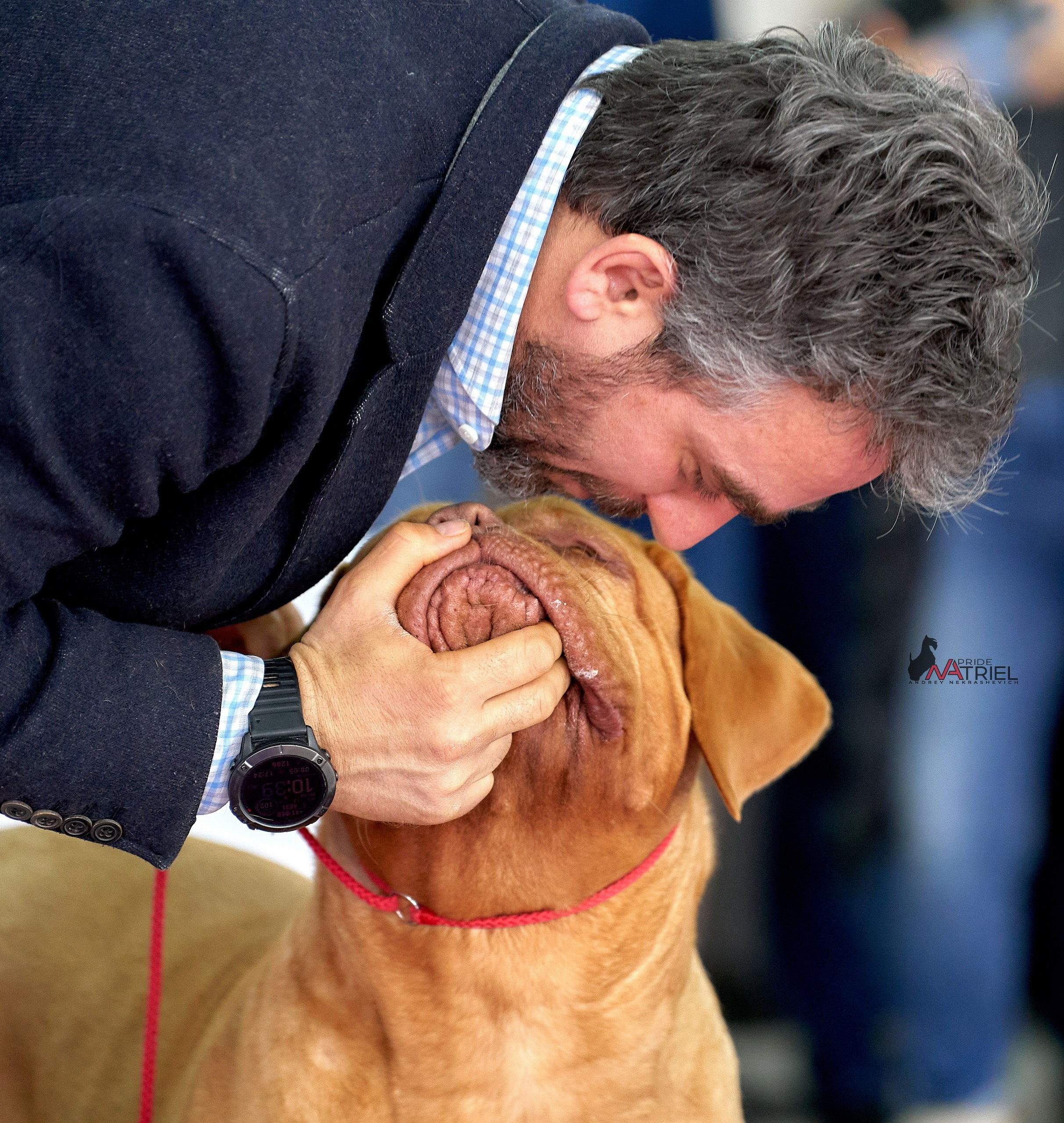 Призовые места — галерея NATRIEL