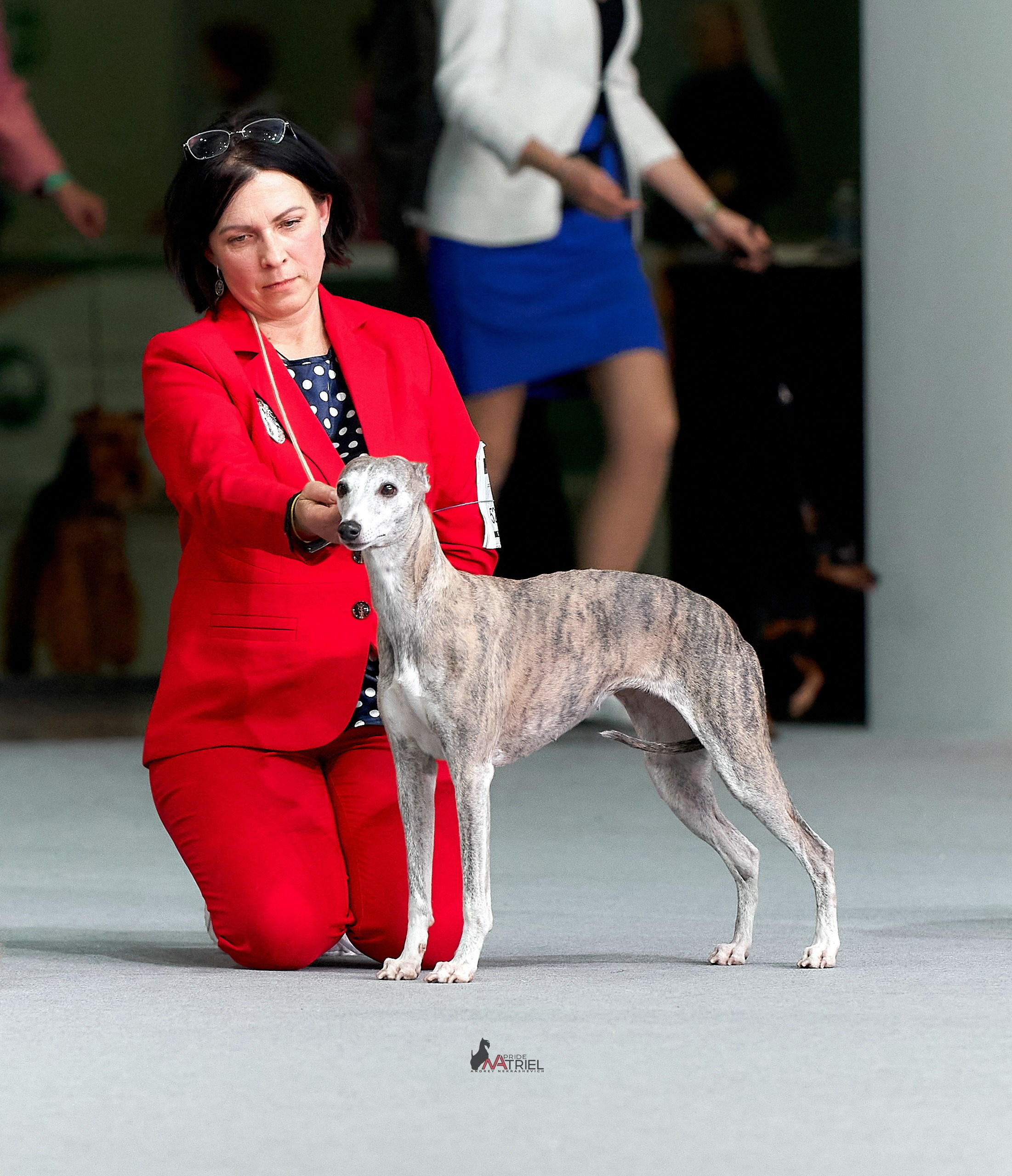 Работа в рингах — галерея NATRIEL