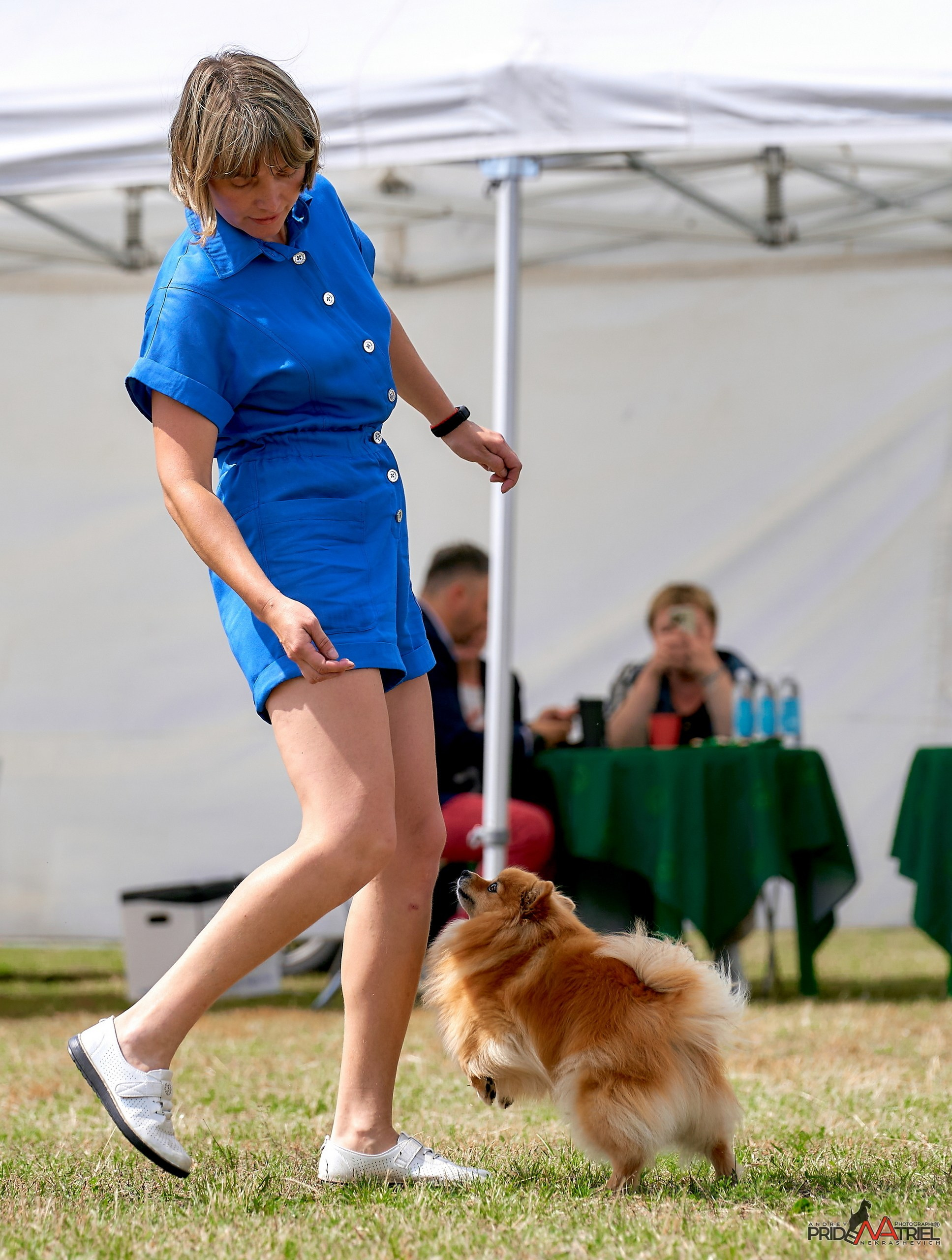 Обидиенс и танцы с собаками — галерея NATRIEL