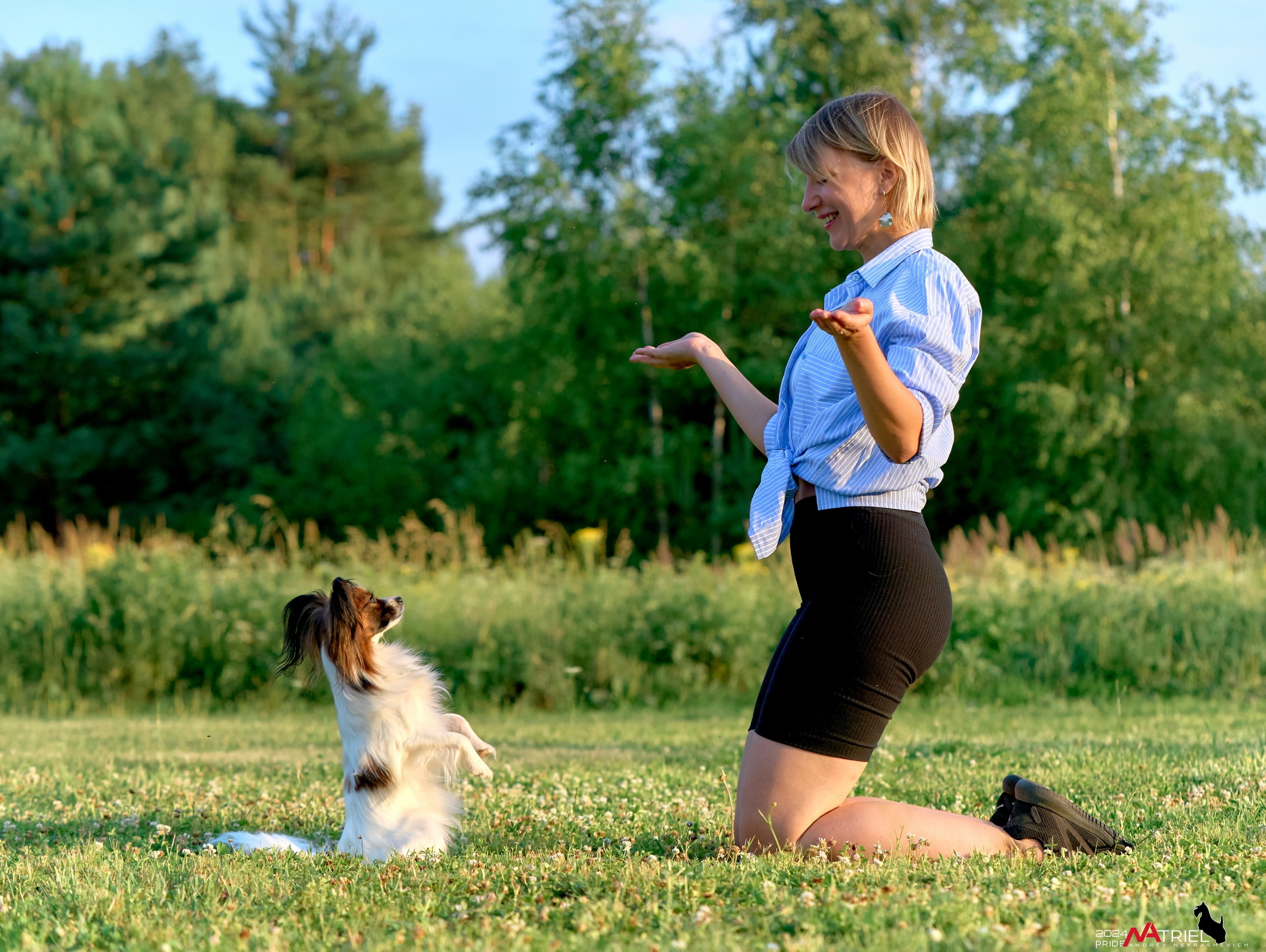 Репортаж из кинологического лагеря