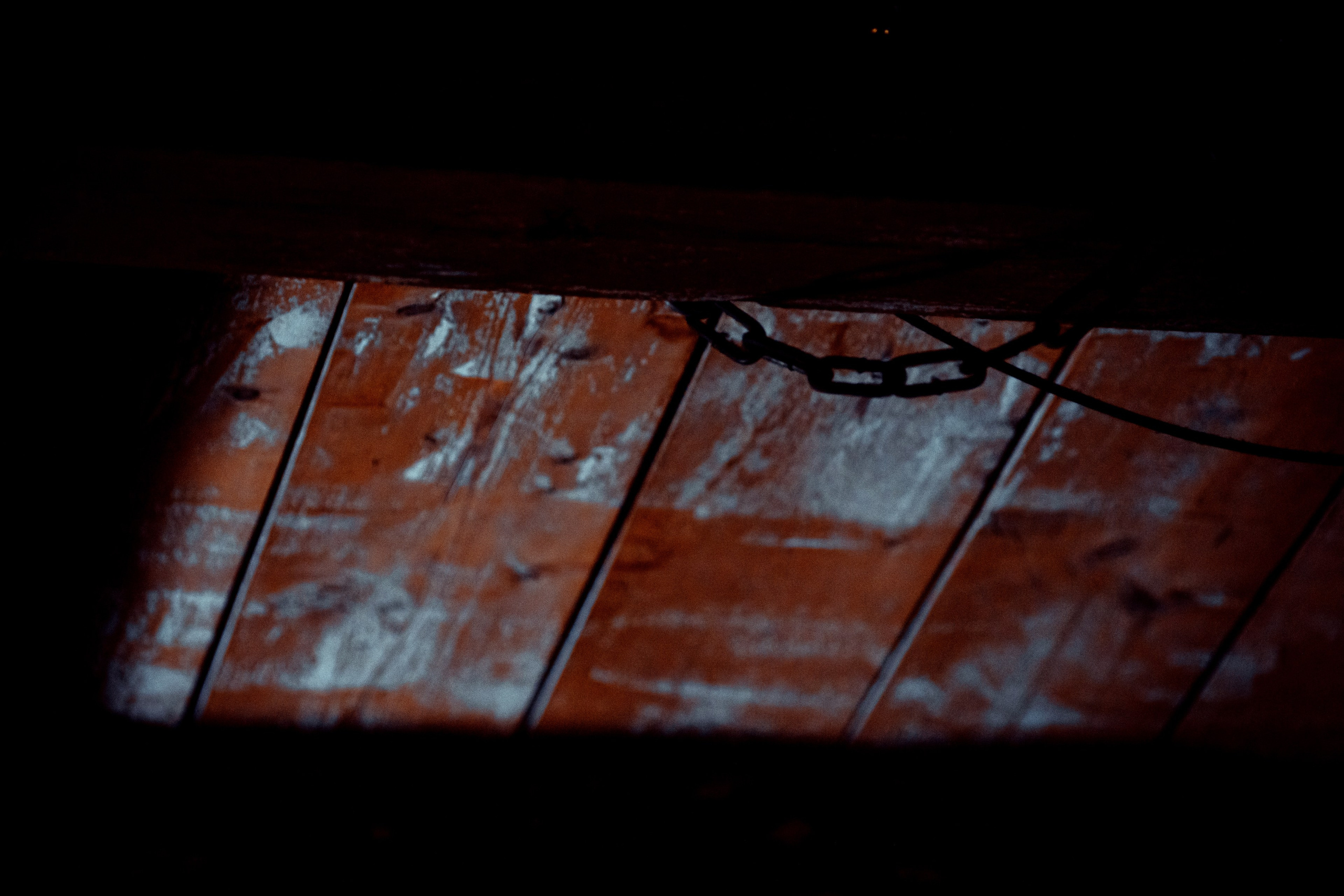 АЛЕКСЕЙ РУМЯНЦЕВ. Фотограф Елена Богачева (lenalena_na_na_na)