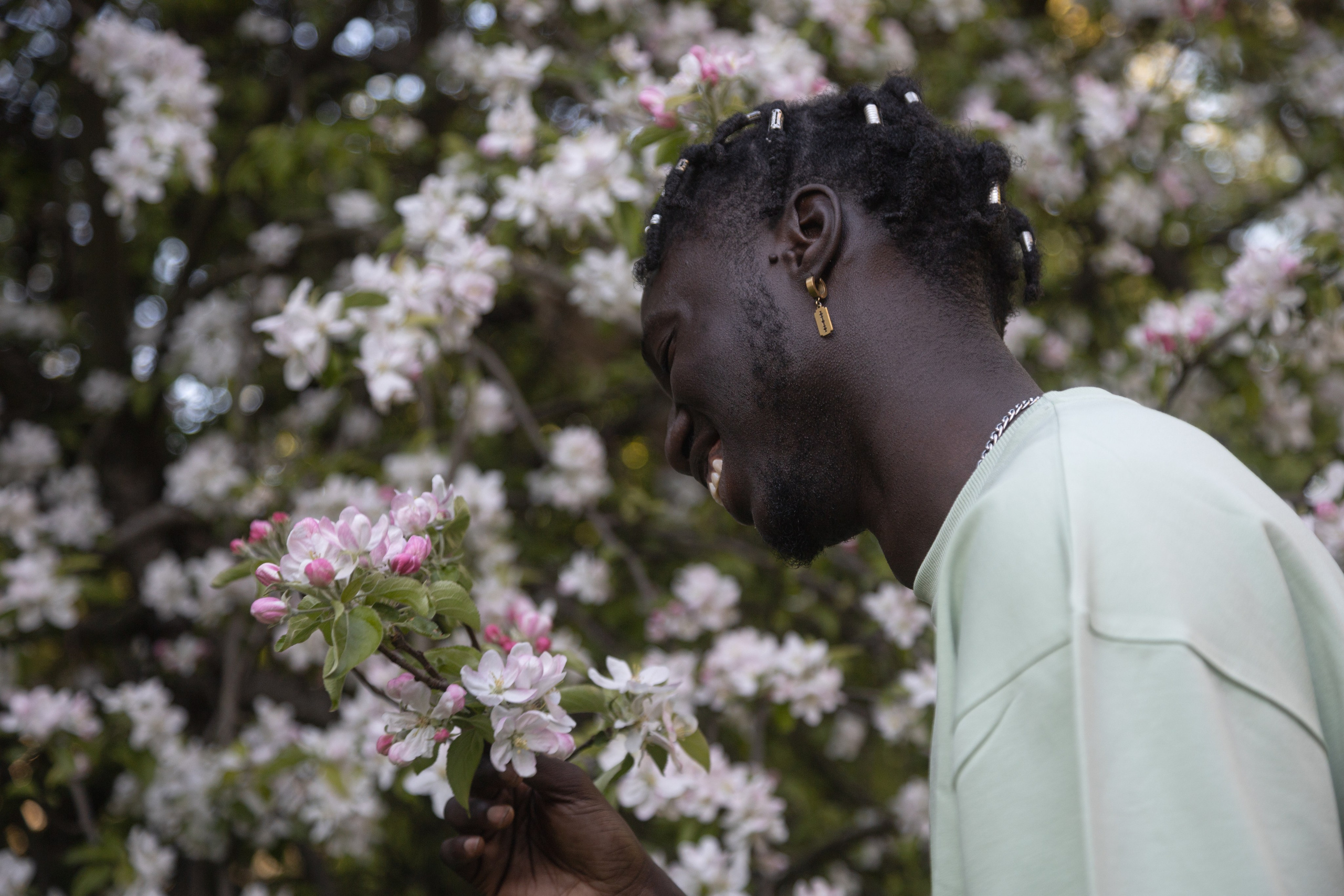 F a b i o. — Digital Noise —