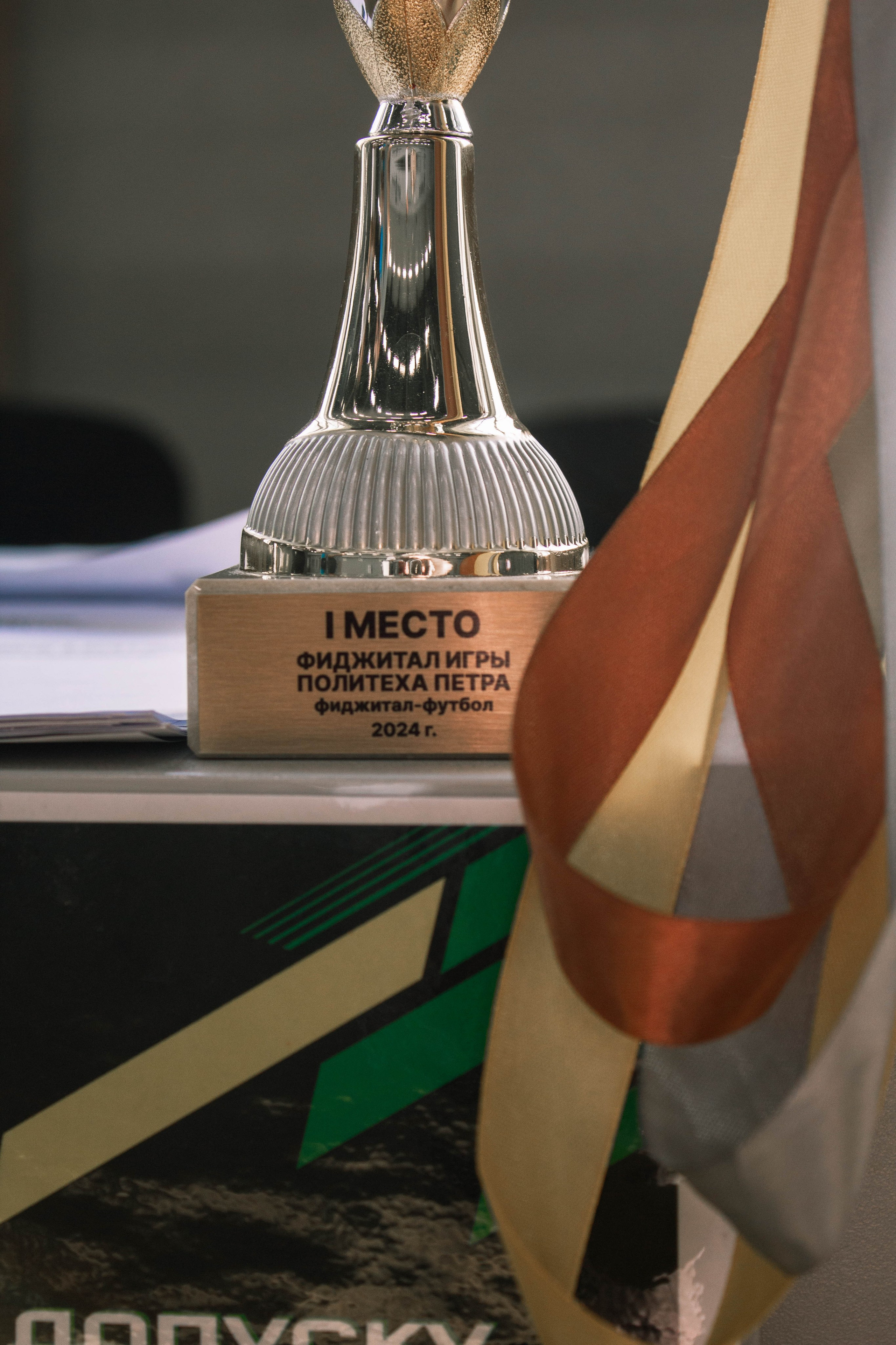 Фиджитал игры СПбПУ. Карпогоры, Санкт-Петербург