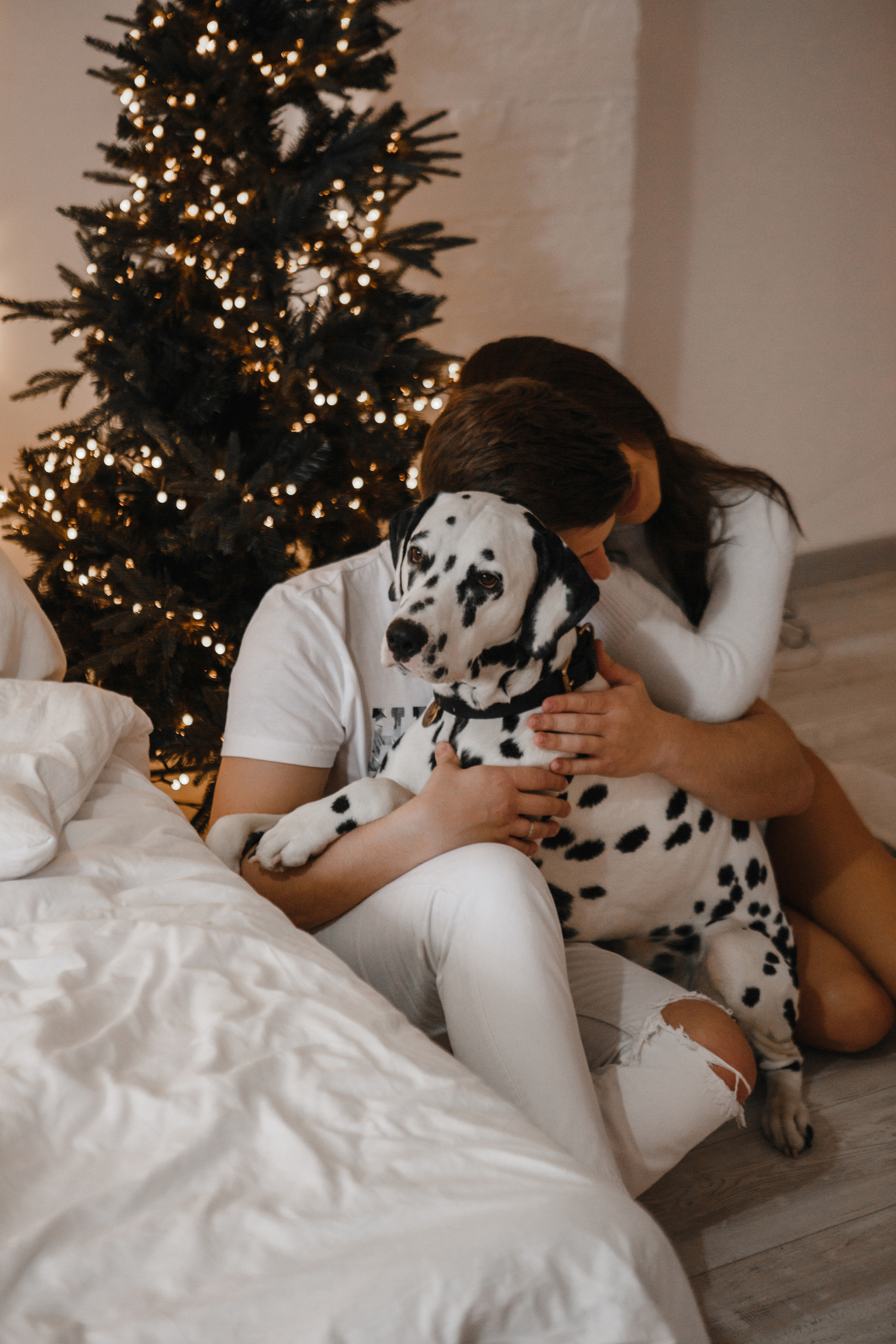 S&E / Saint-Petersburg. Hochzeitsfotografin Galina Bikowez