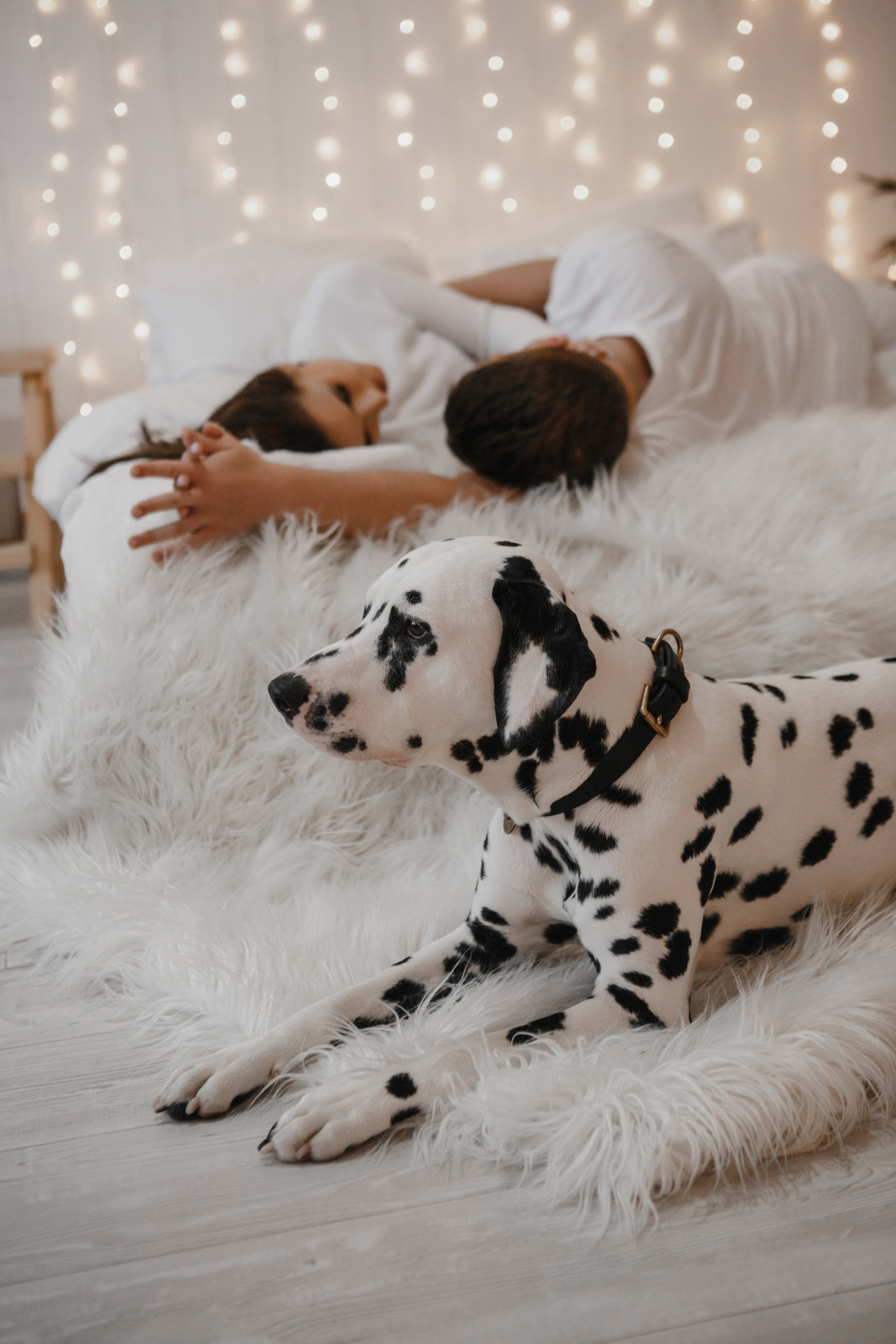 S&E / Saint-Petersburg. Hochzeitsfotografin Galina Bikowez