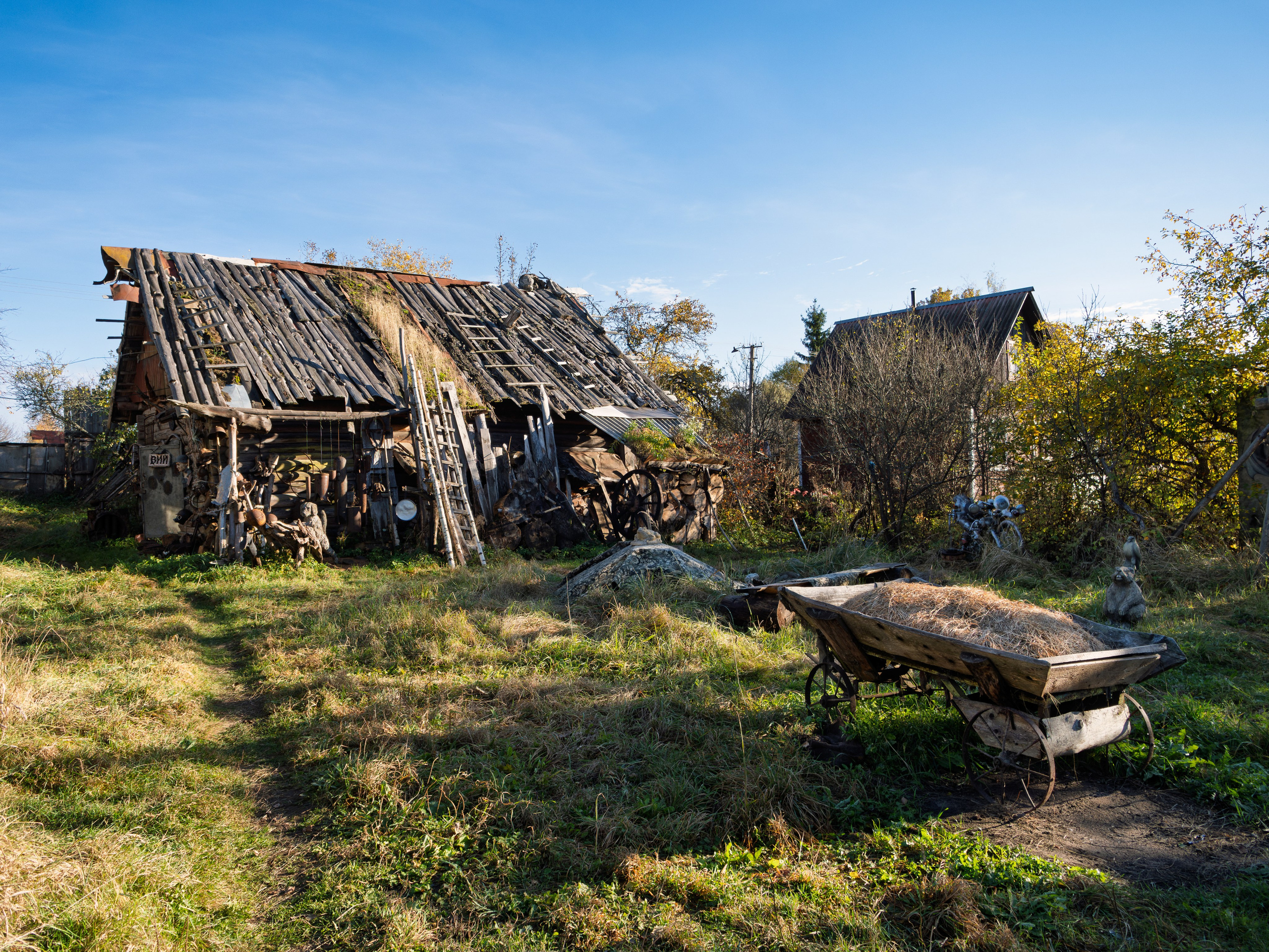 Голубые озера, Псковская область. Октябрь 2024. Фотограф Никифоров-Гордеев Сергей. Москва и МО