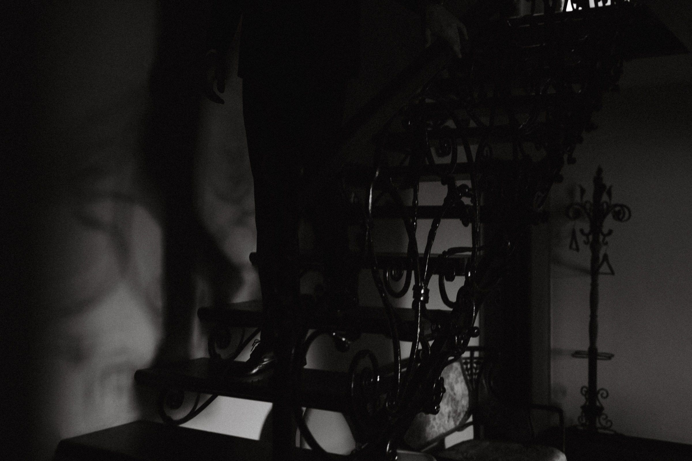 La Madeleine de Proust. Фотограф Daria Wilner